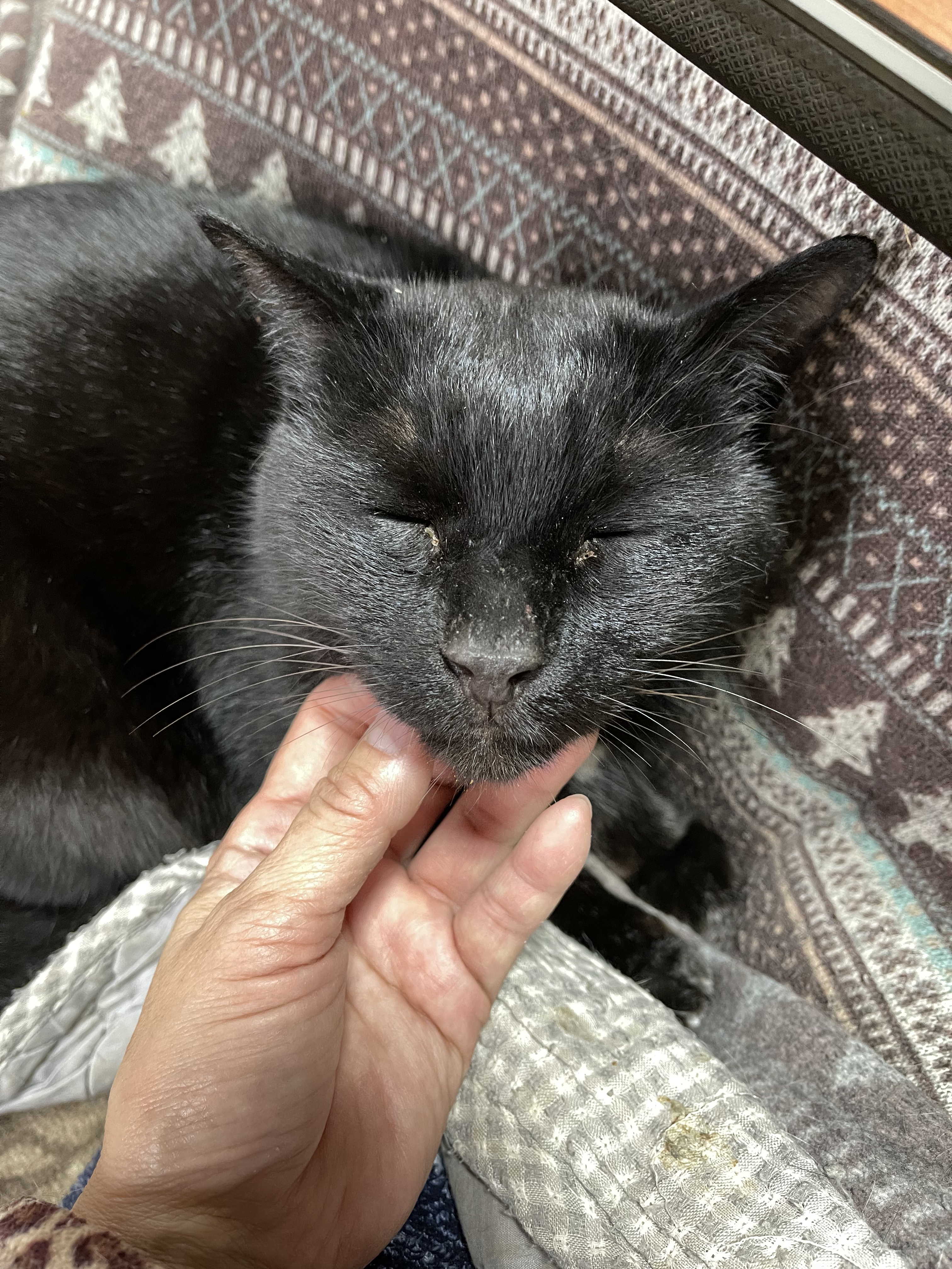 F5D20C3B-E83F-41C8-95A5-C955DBBB4D12