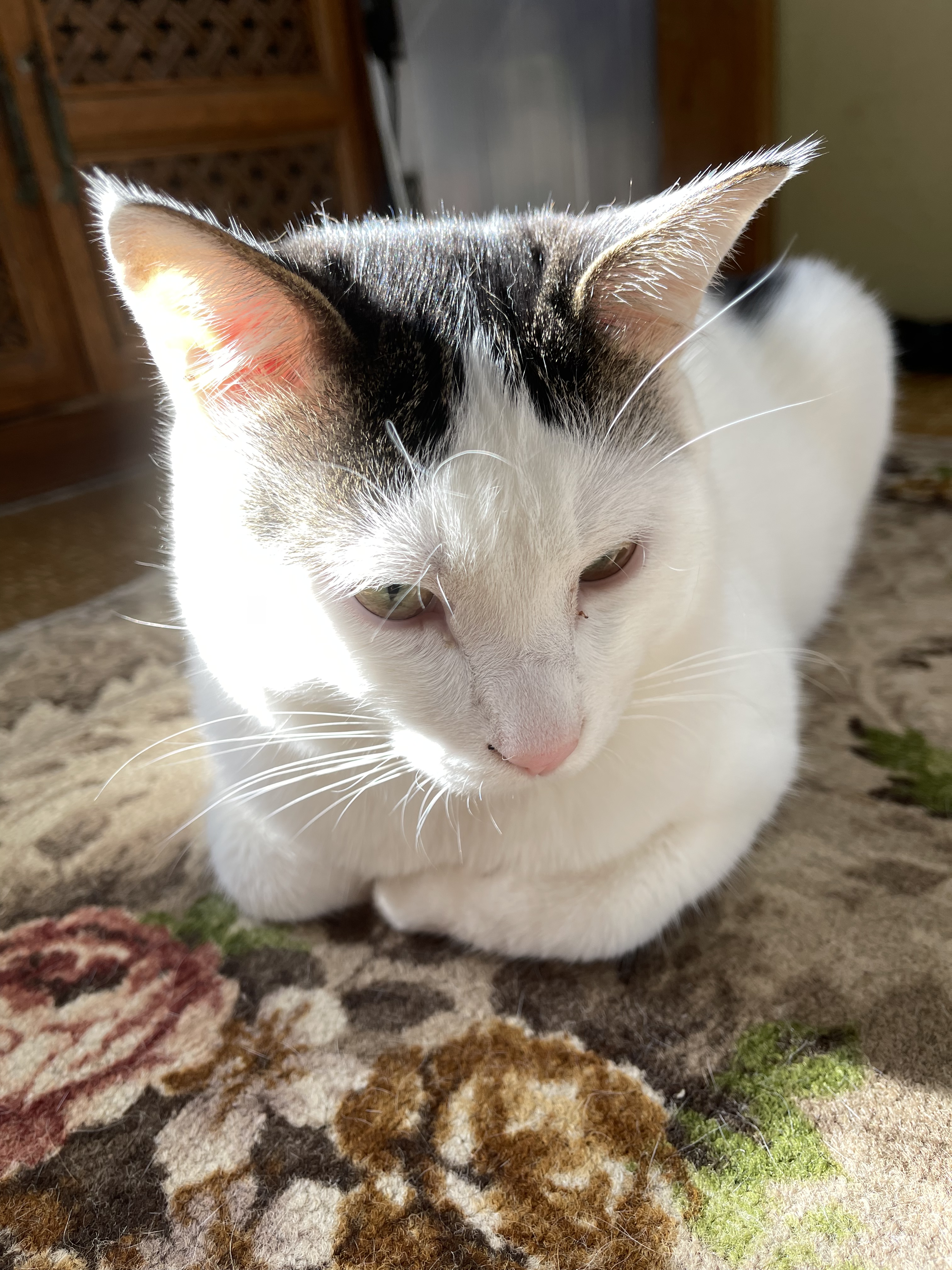 FFEAF137-96AF-4C58-AC64-EC1FEFDD6FC0