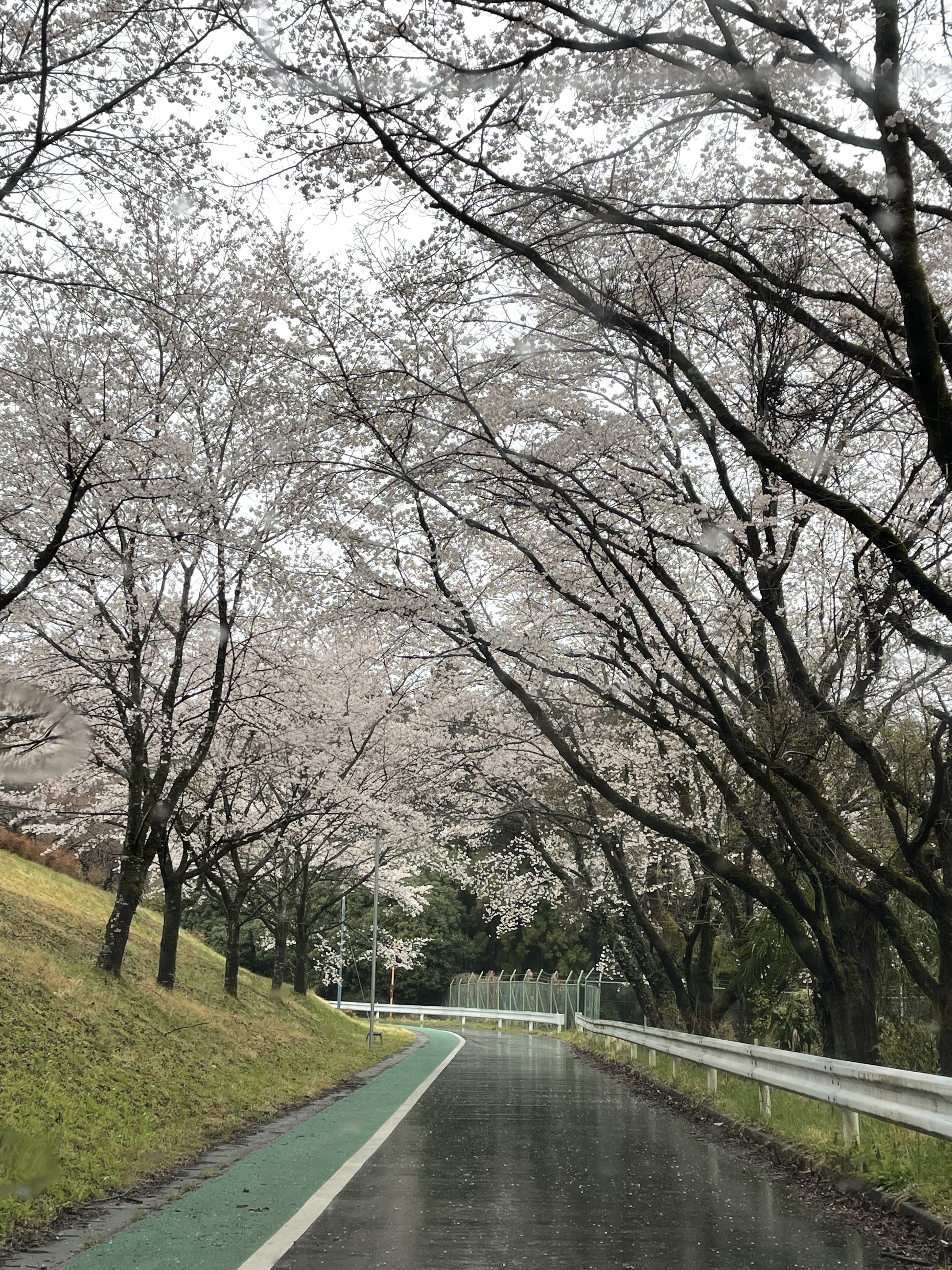 01E4BA40-7288-4071-8213-18E2E6BABB69