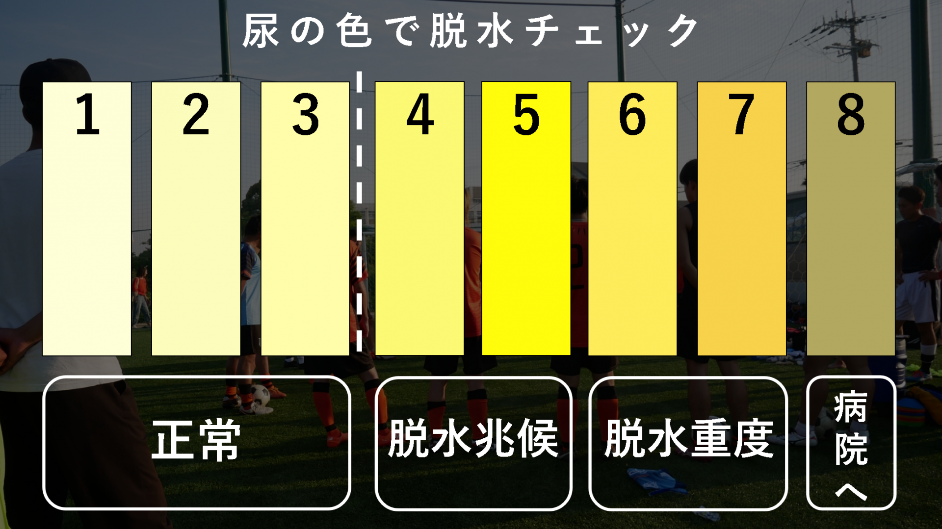 09355BFF-EF43-457E-B702-F464BB53AAD8