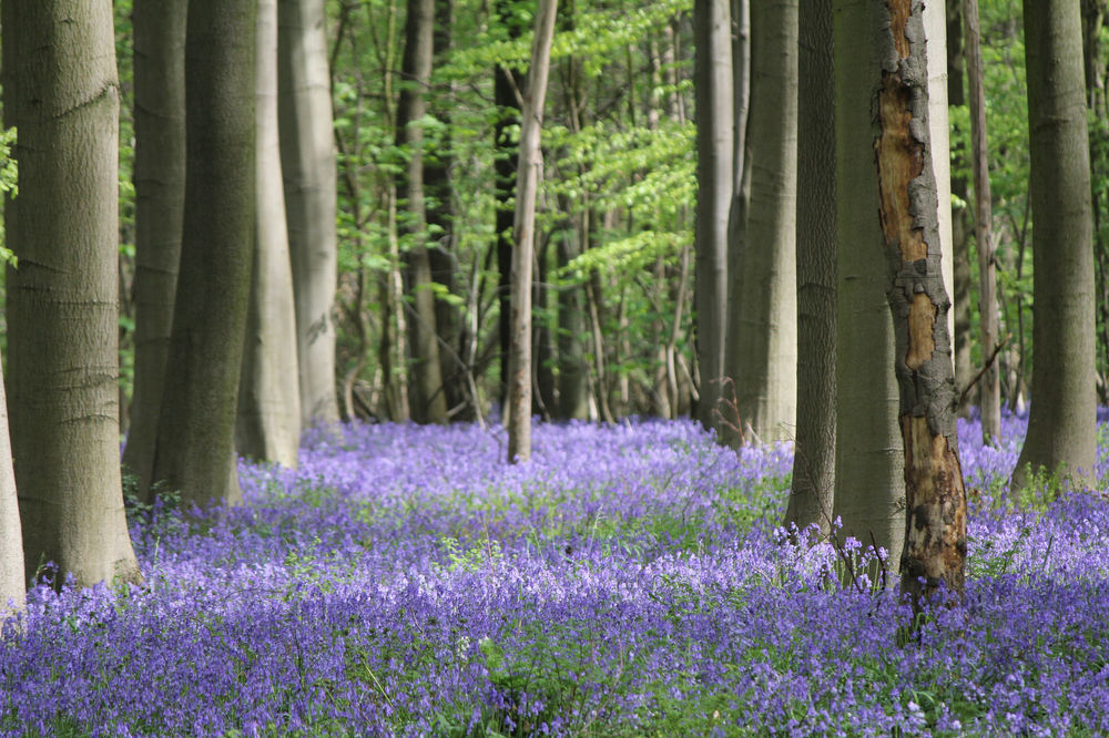 59E871A0-EFA1-41BF-AFC6-8D5F2CBEAD50