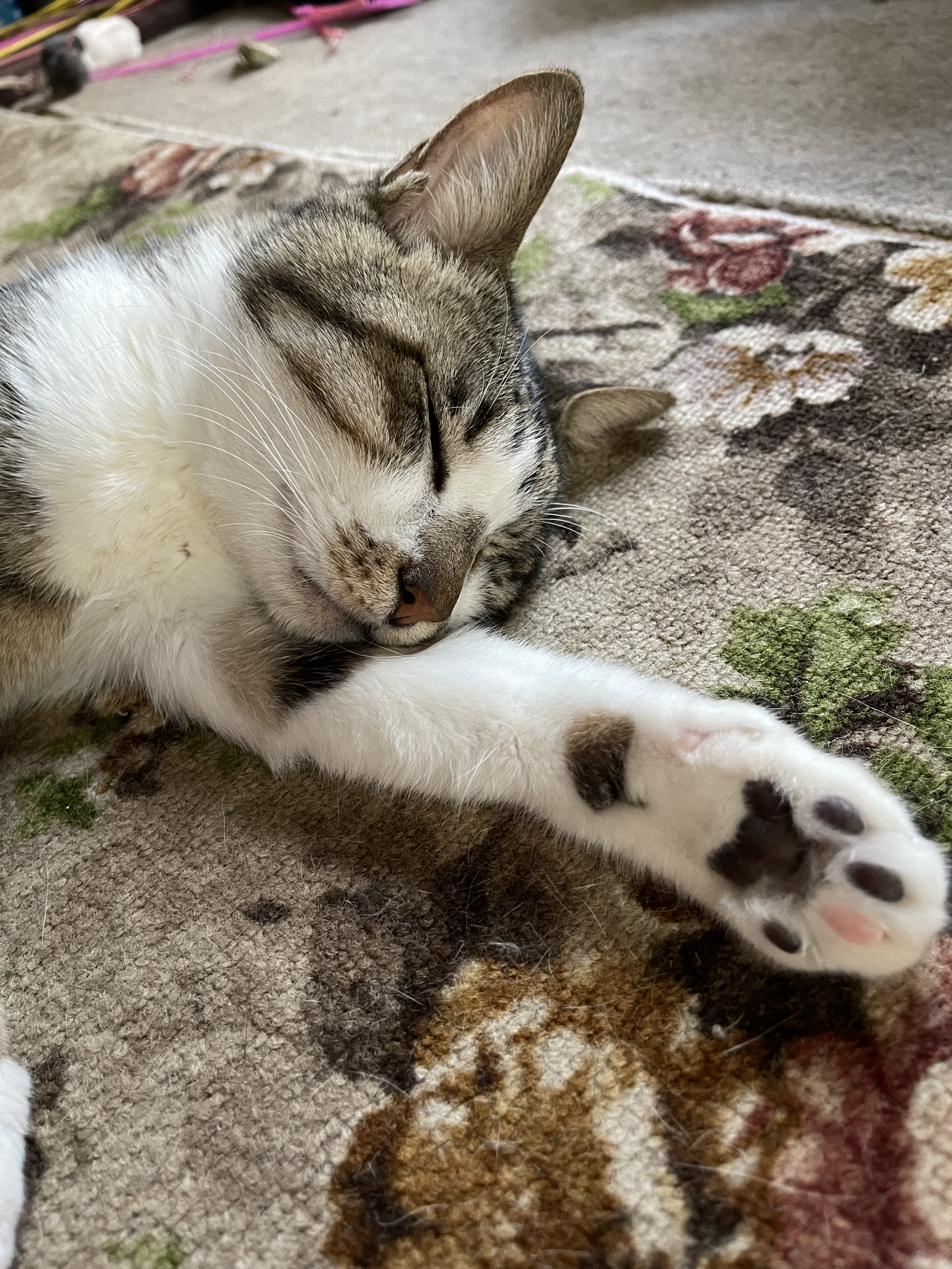 5C2BFC55-0CB9-40C3-98EC-ACF1F45DAE0C