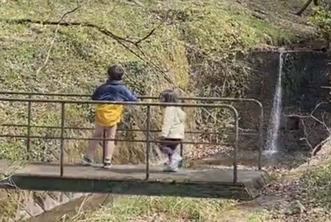 78BA71B9-01E7-4898-9C78-86E3784CBBBA