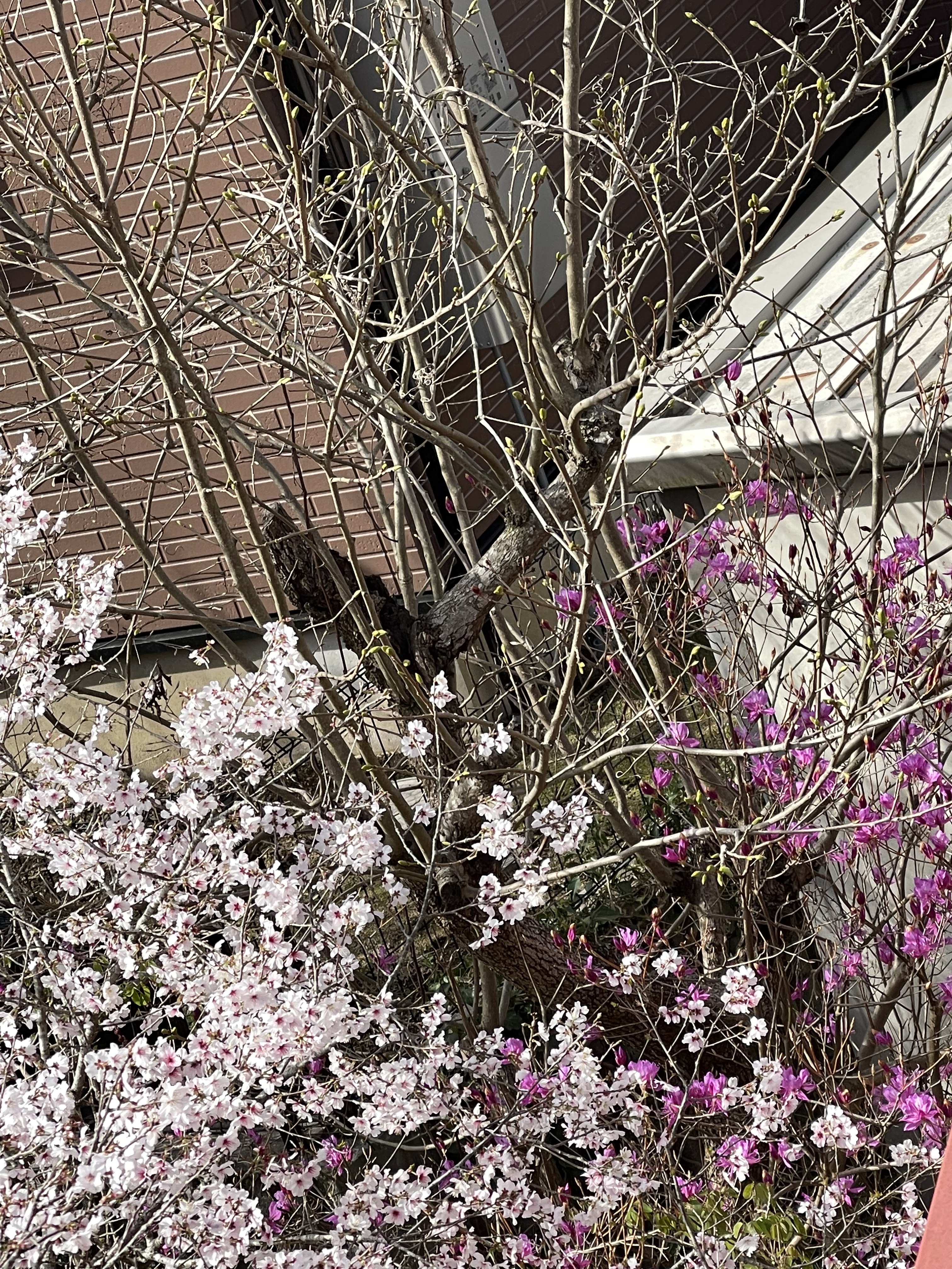 8C4FA88F-6BE6-4C5D-91BA-4475885E53AC