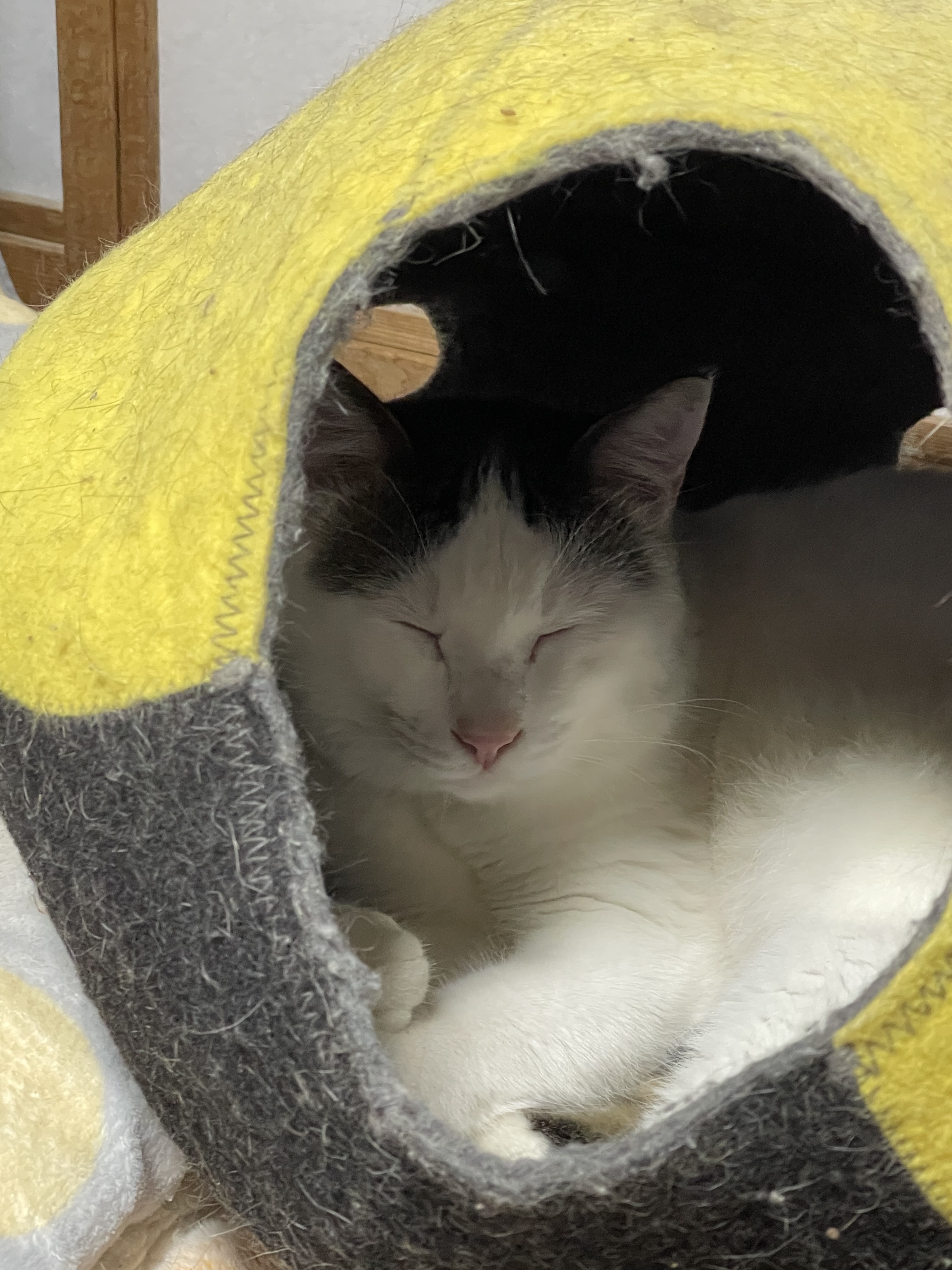 905FE783-E8D7-427A-A51C-87952967EAB1