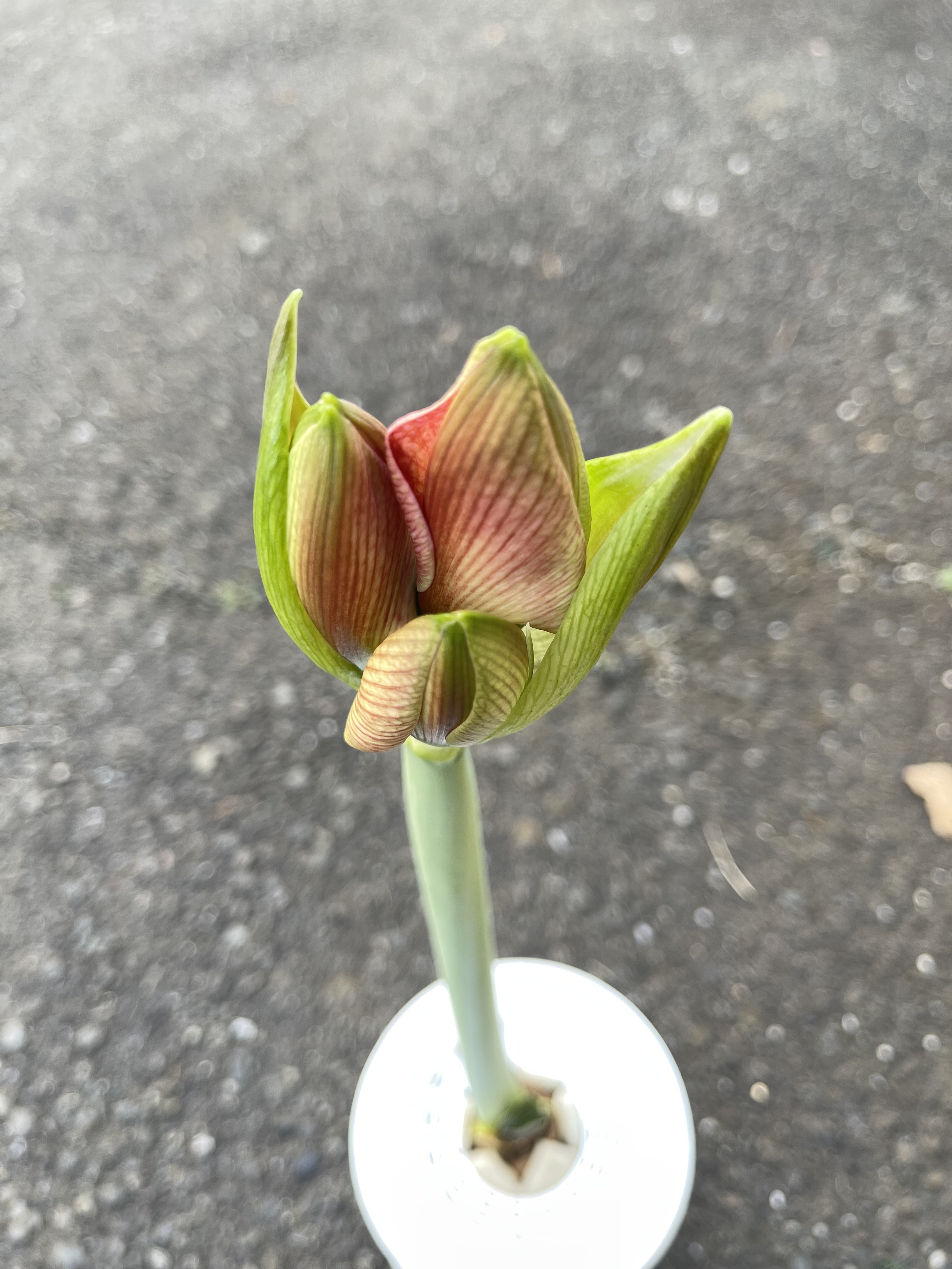 91424334-E90B-4993-B71E-A1431ED1FED7