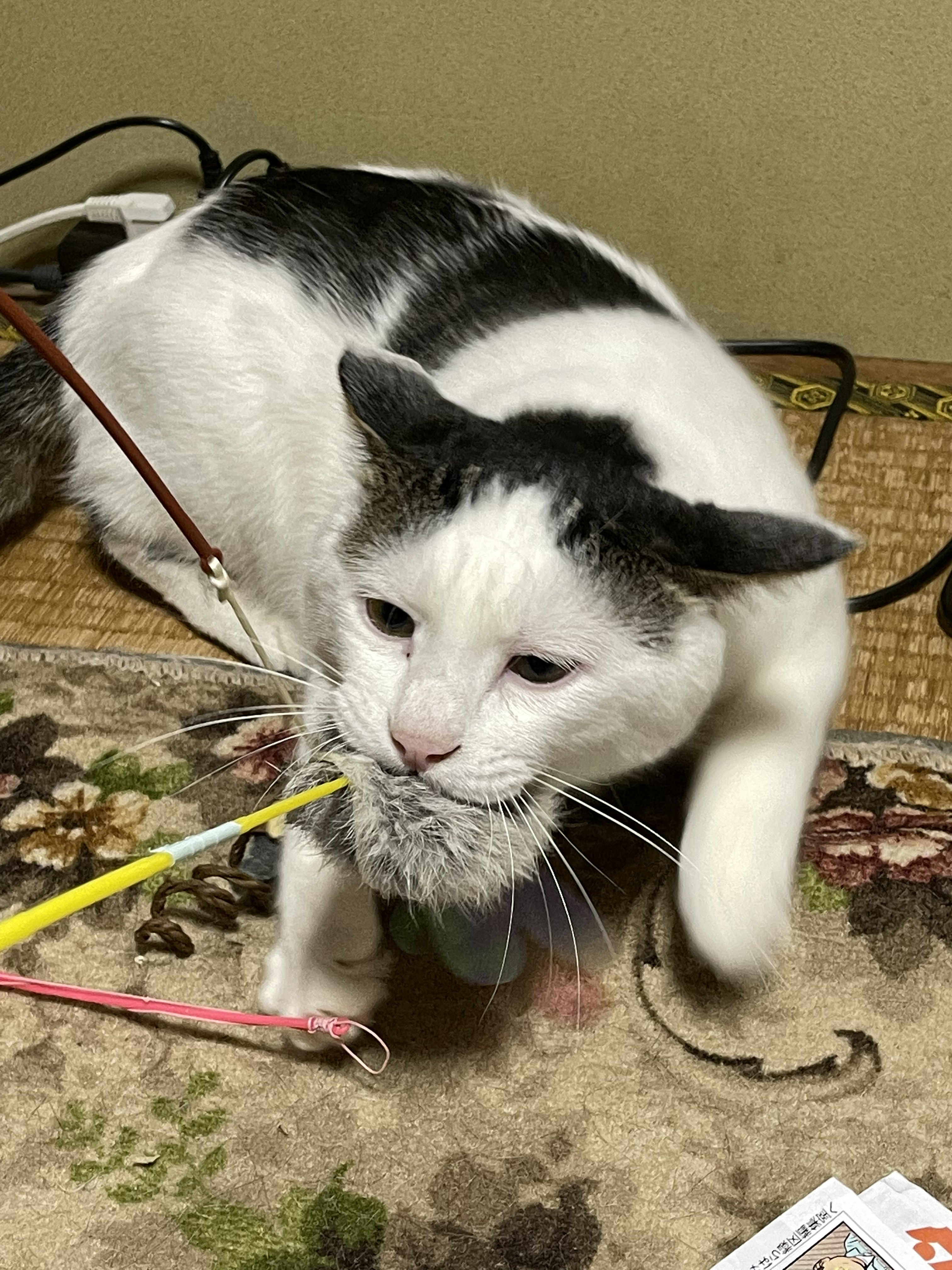 A72429A6-1179-4EEC-9242-2E54729270F2