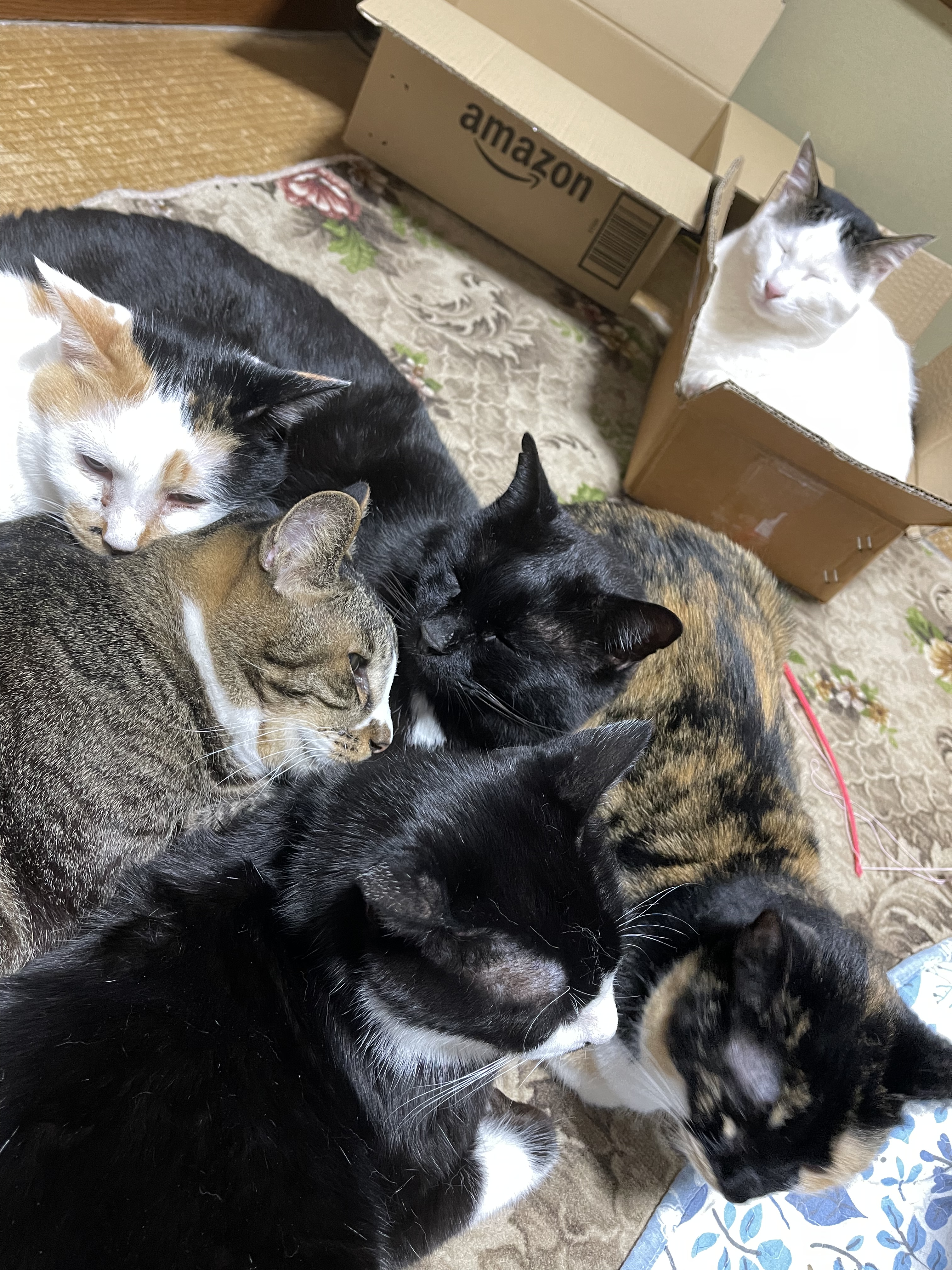 AED860F6-6B6E-495D-AE83-46BBE3DFAD69