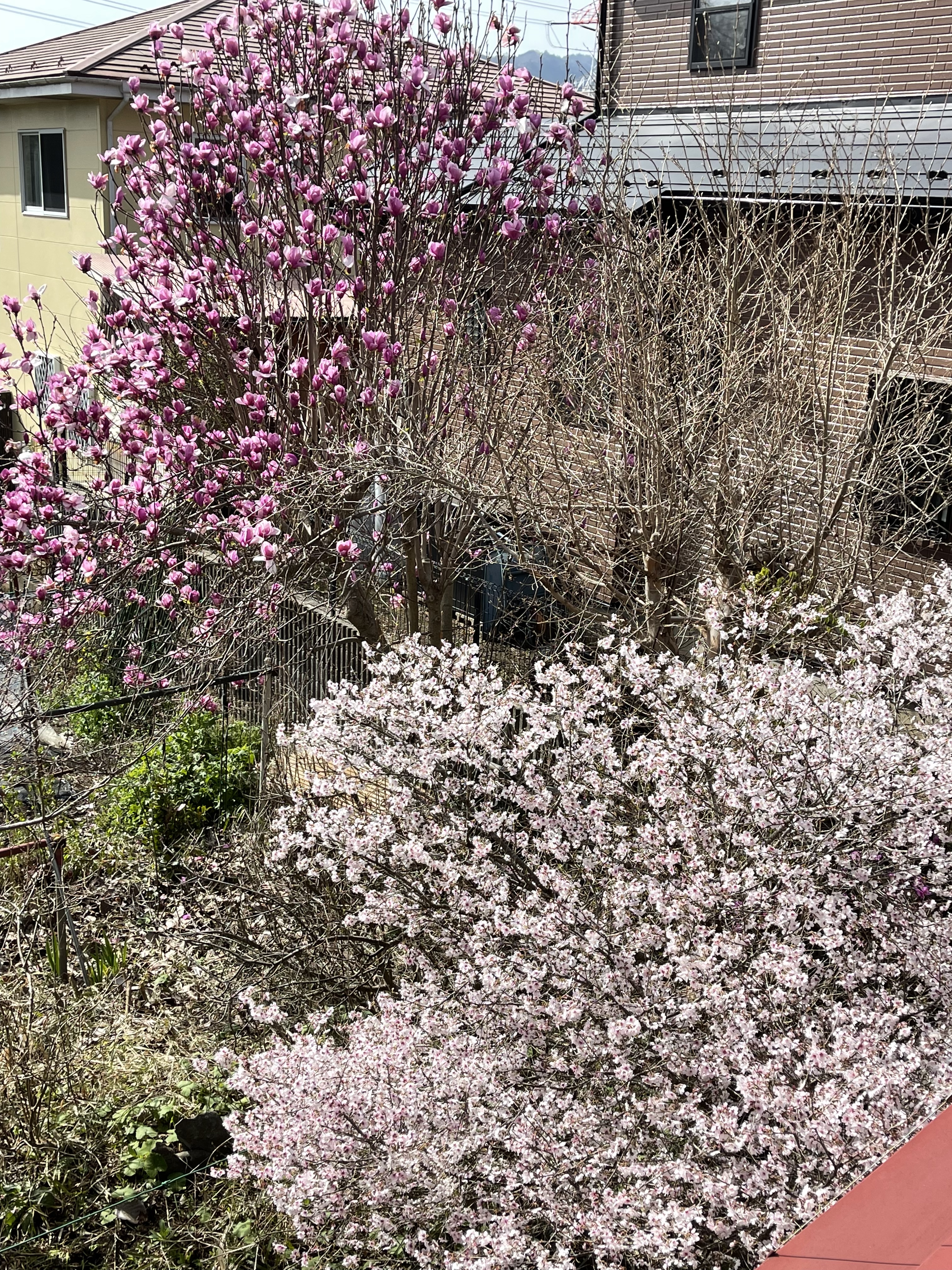 B53FE25D-B3A0-40A1-A15E-4518E77243A5