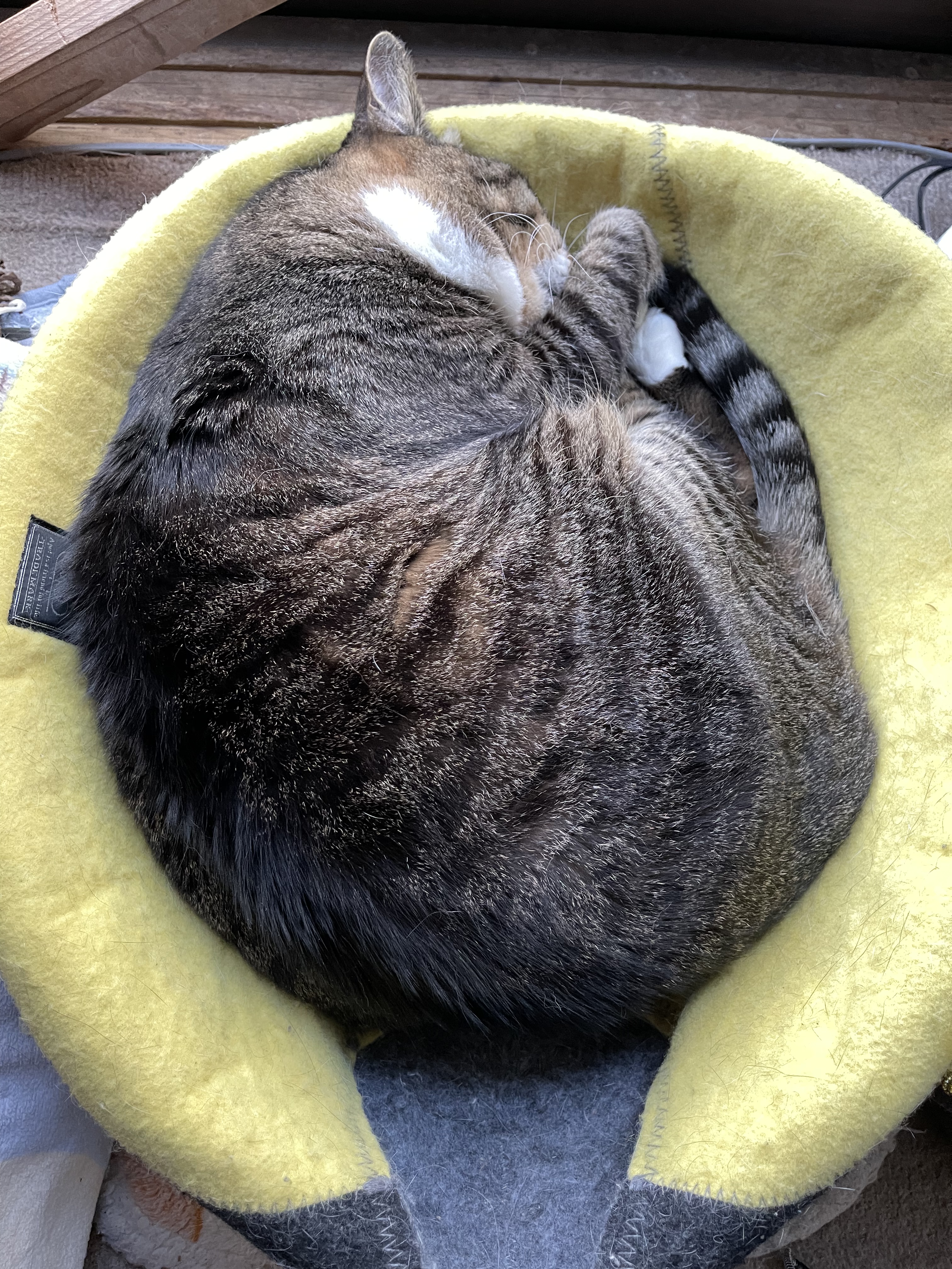 E4B39C8E-ACD8-4E4B-B634-18D8D095AADC