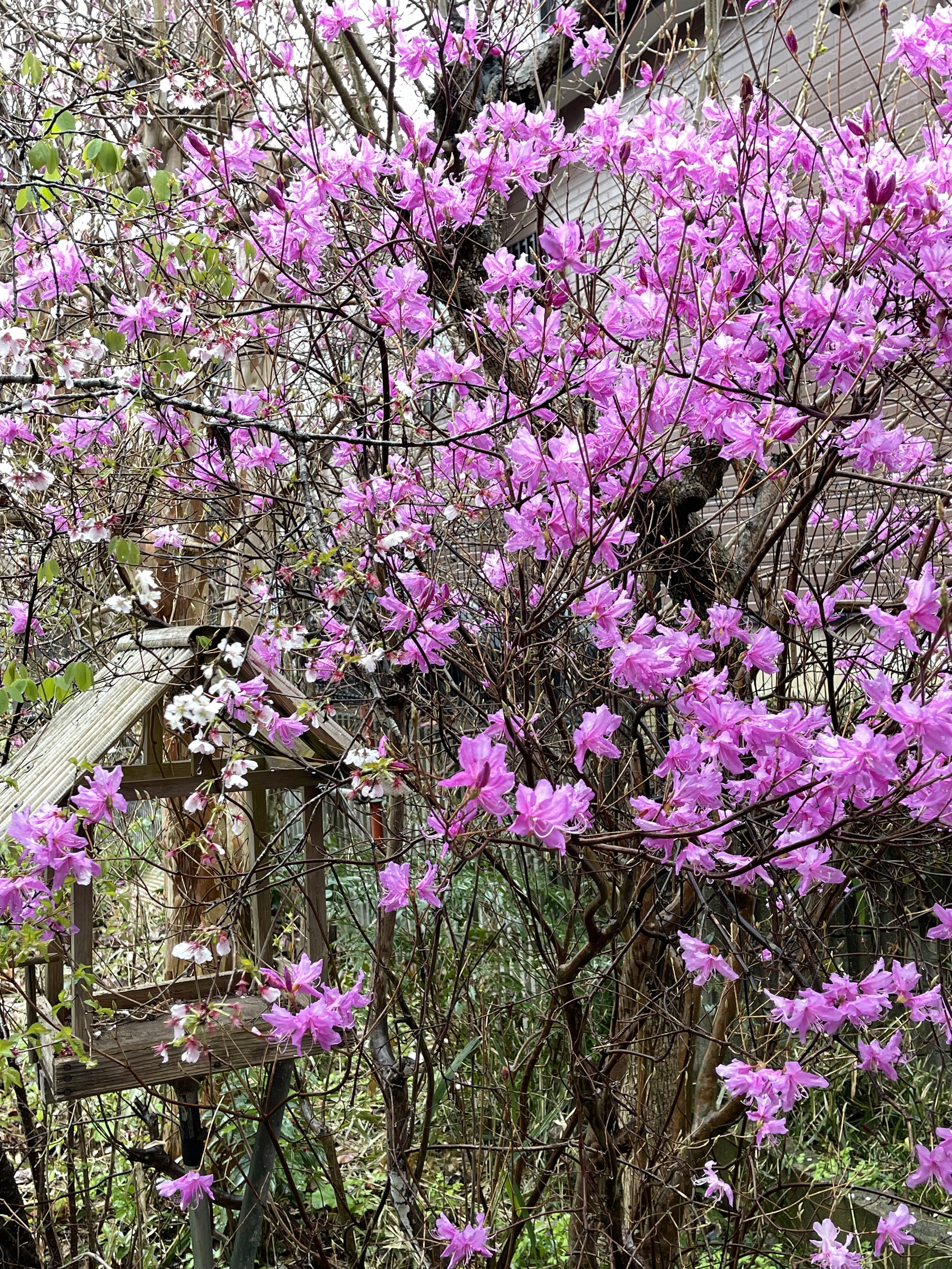 E6006671-26BF-41E8-A7DF-DCC96C5DDAE1