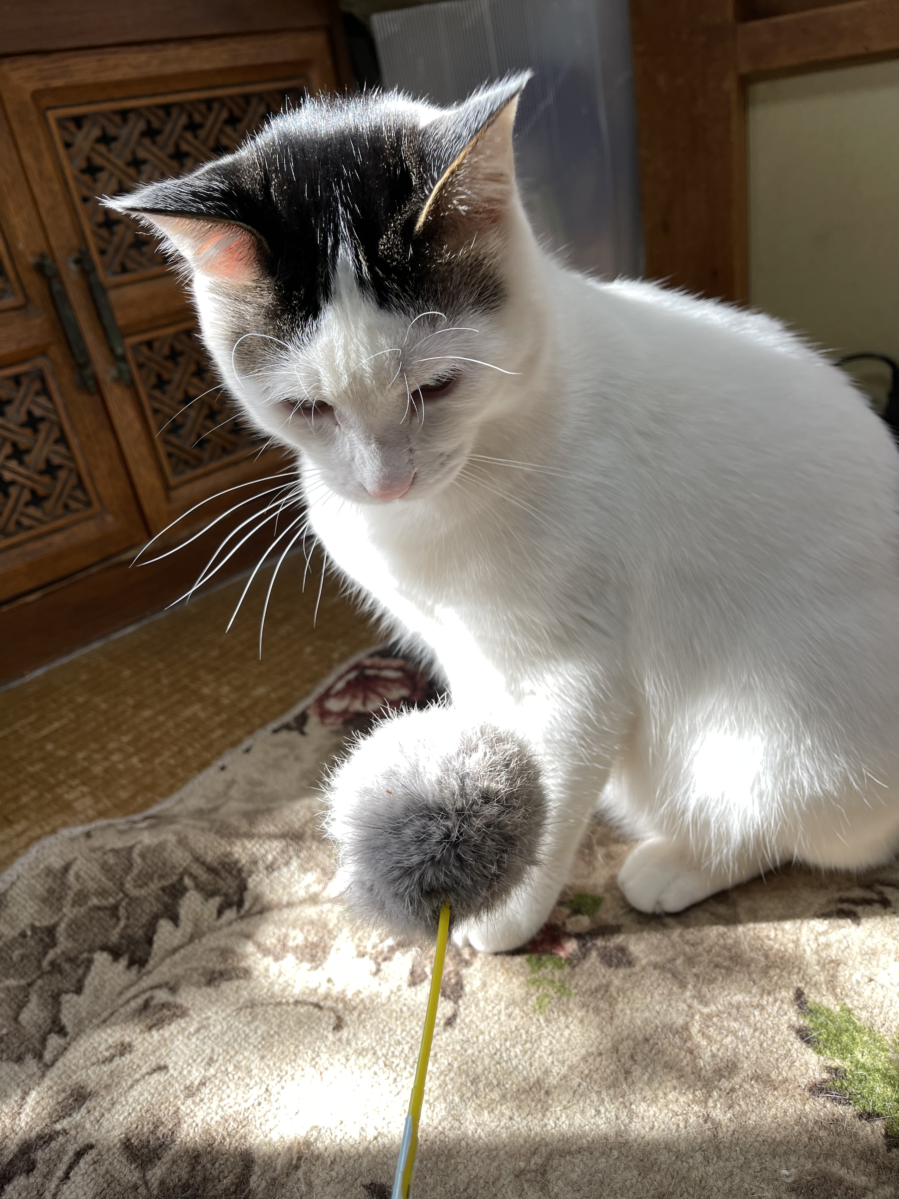 EA29050B-AA96-4935-932C-91AF673AE6AD