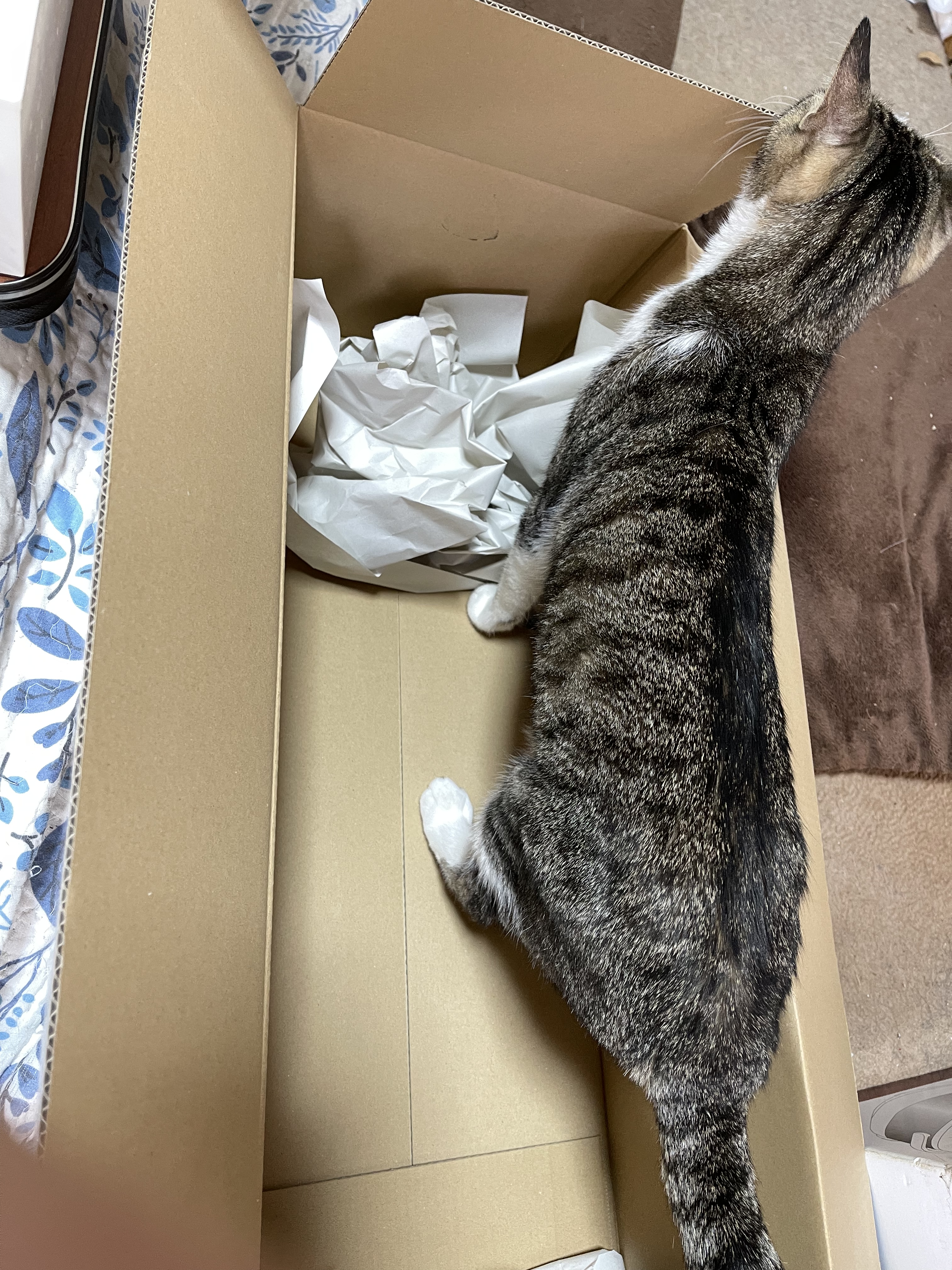 EBB9D8F9-143E-49FF-9F46-47A2C33C27CC