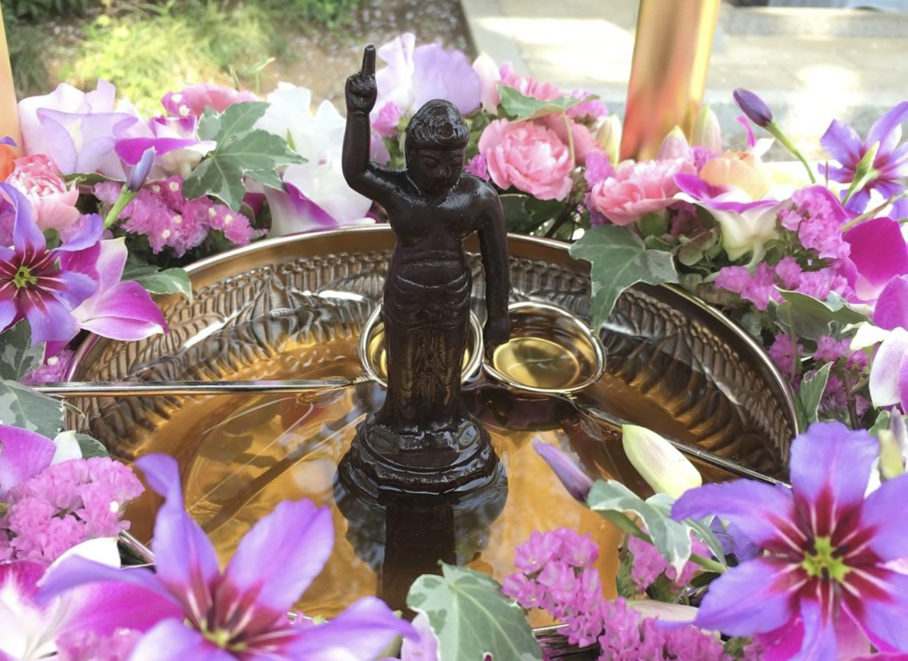 ED88575C-E205-49C0-BEF6-6F47CCAA101F