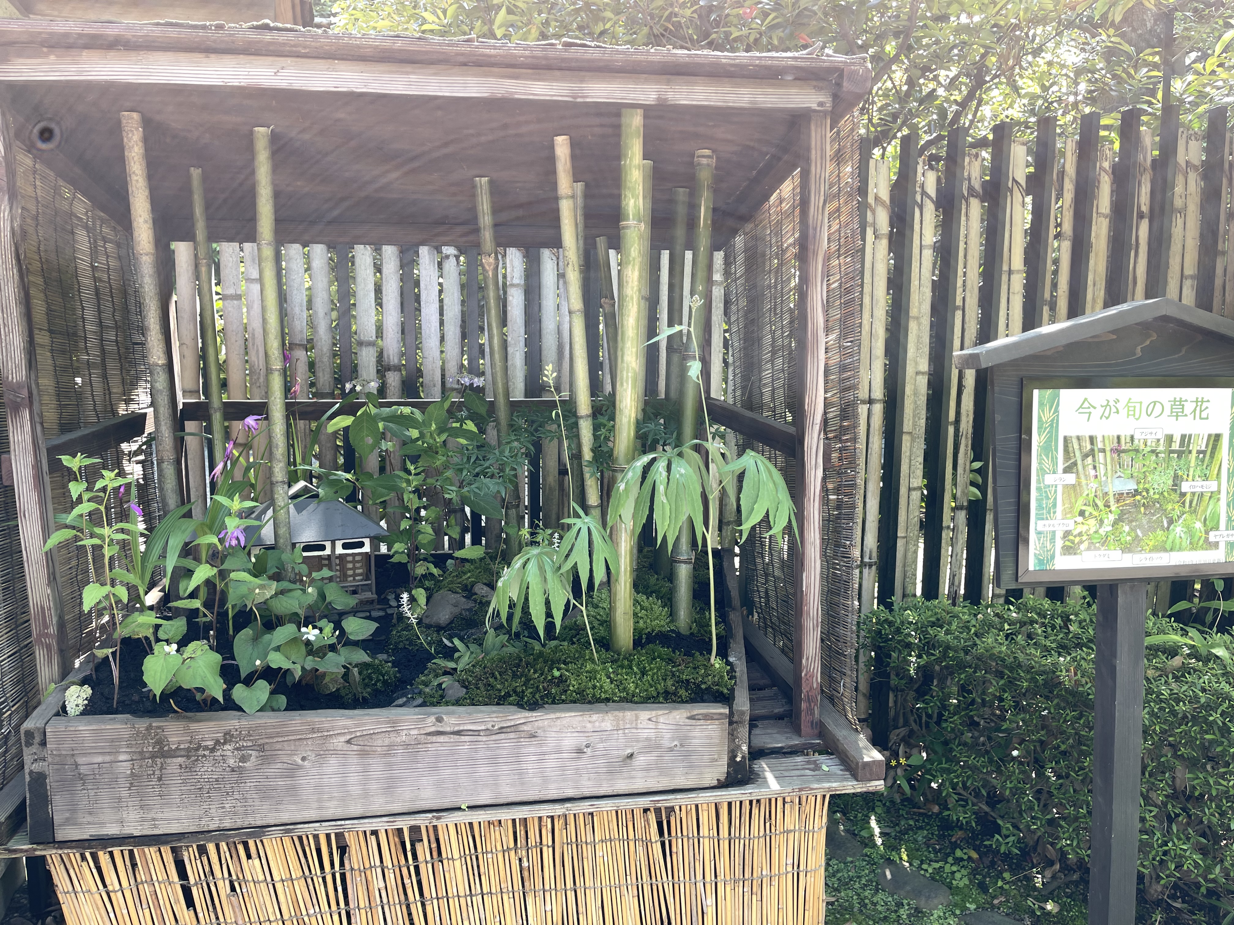 08823803-46C1-461E-9B44-2091409AFD49