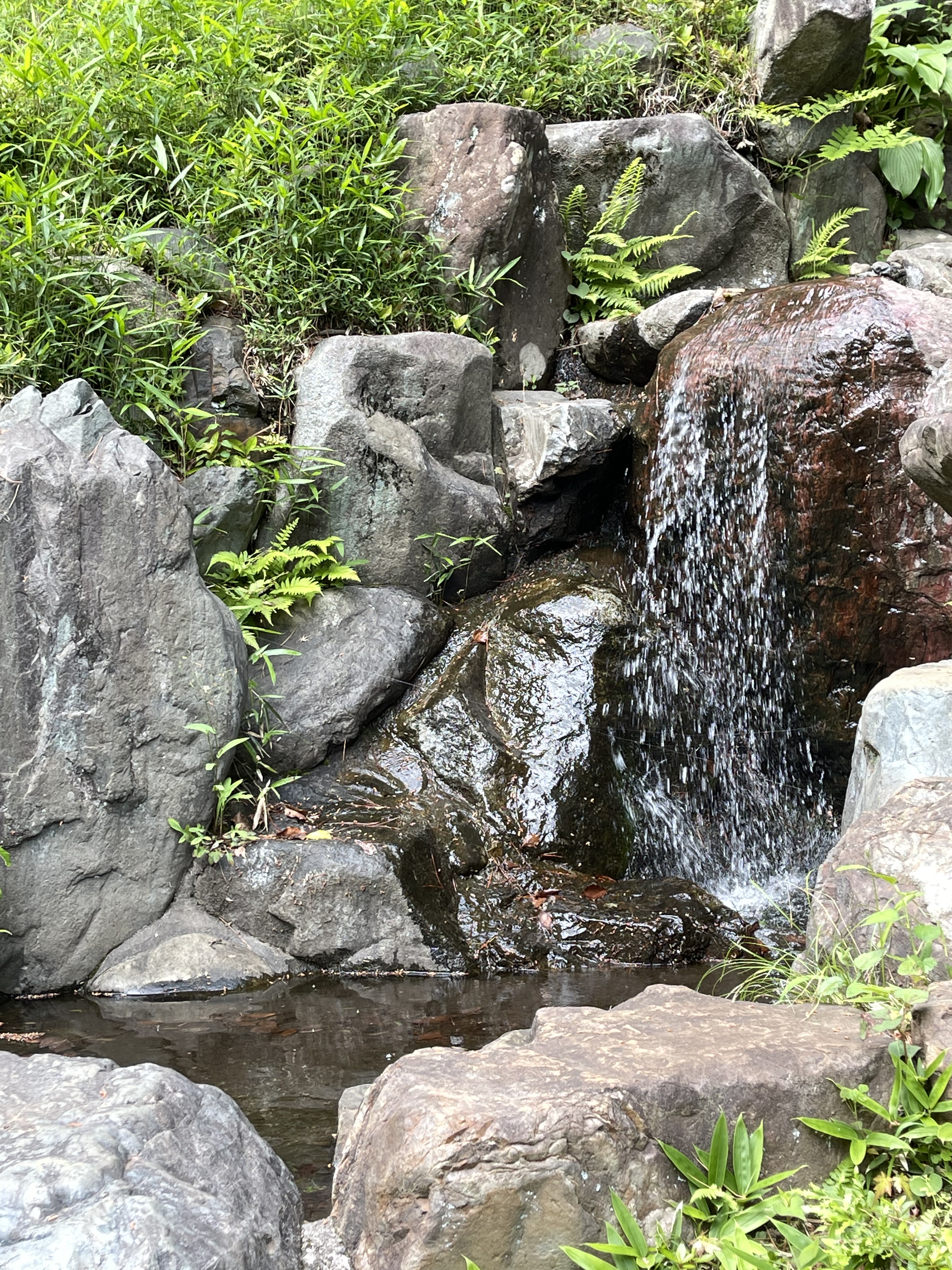 116F2E72-676C-4736-B890-871CA002B623