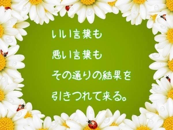 1195014D-495C-4C37-A1EC-55E068C733FE