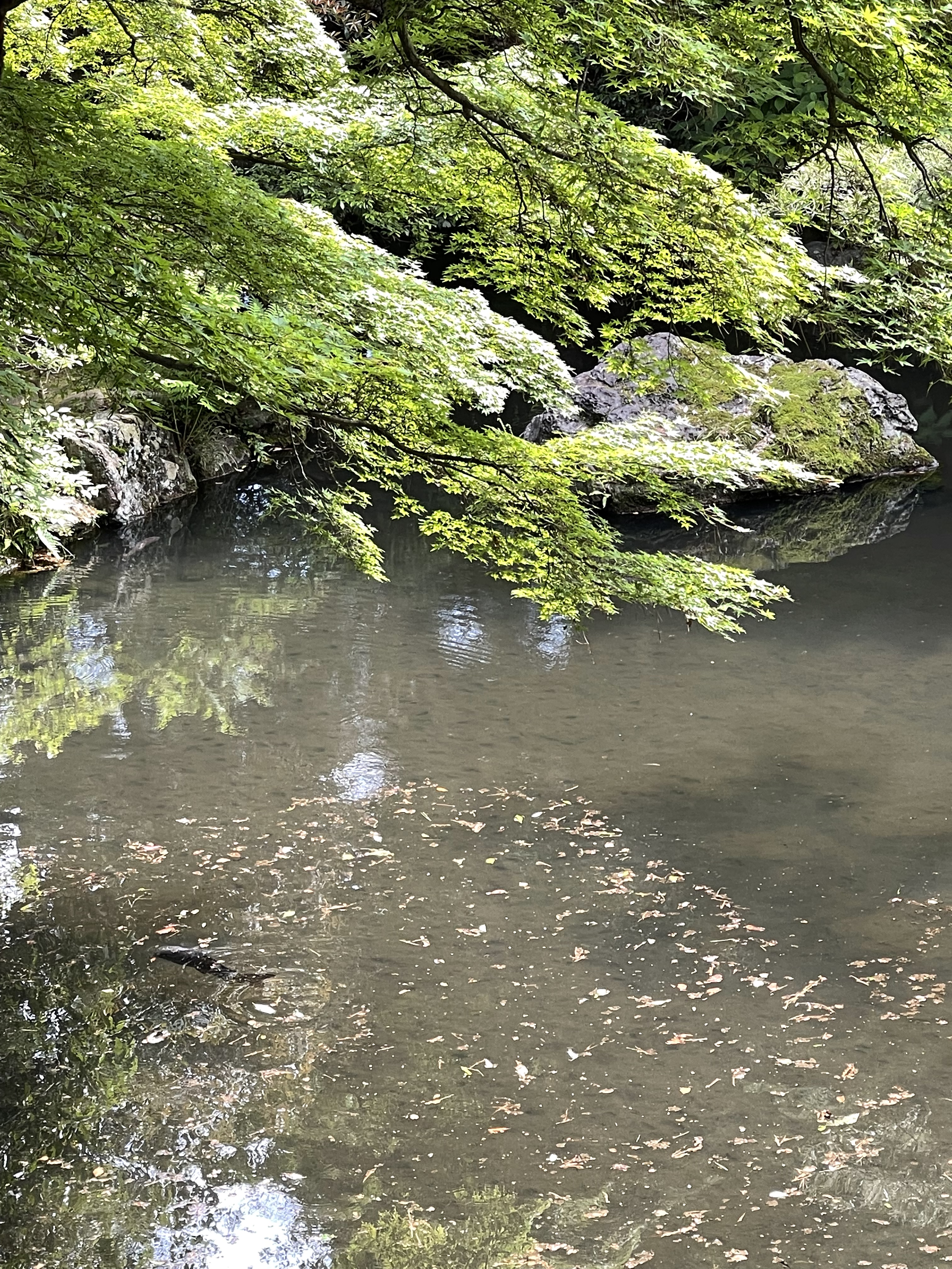 15020067-F669-4F05-AB04-FCD6082BC79C