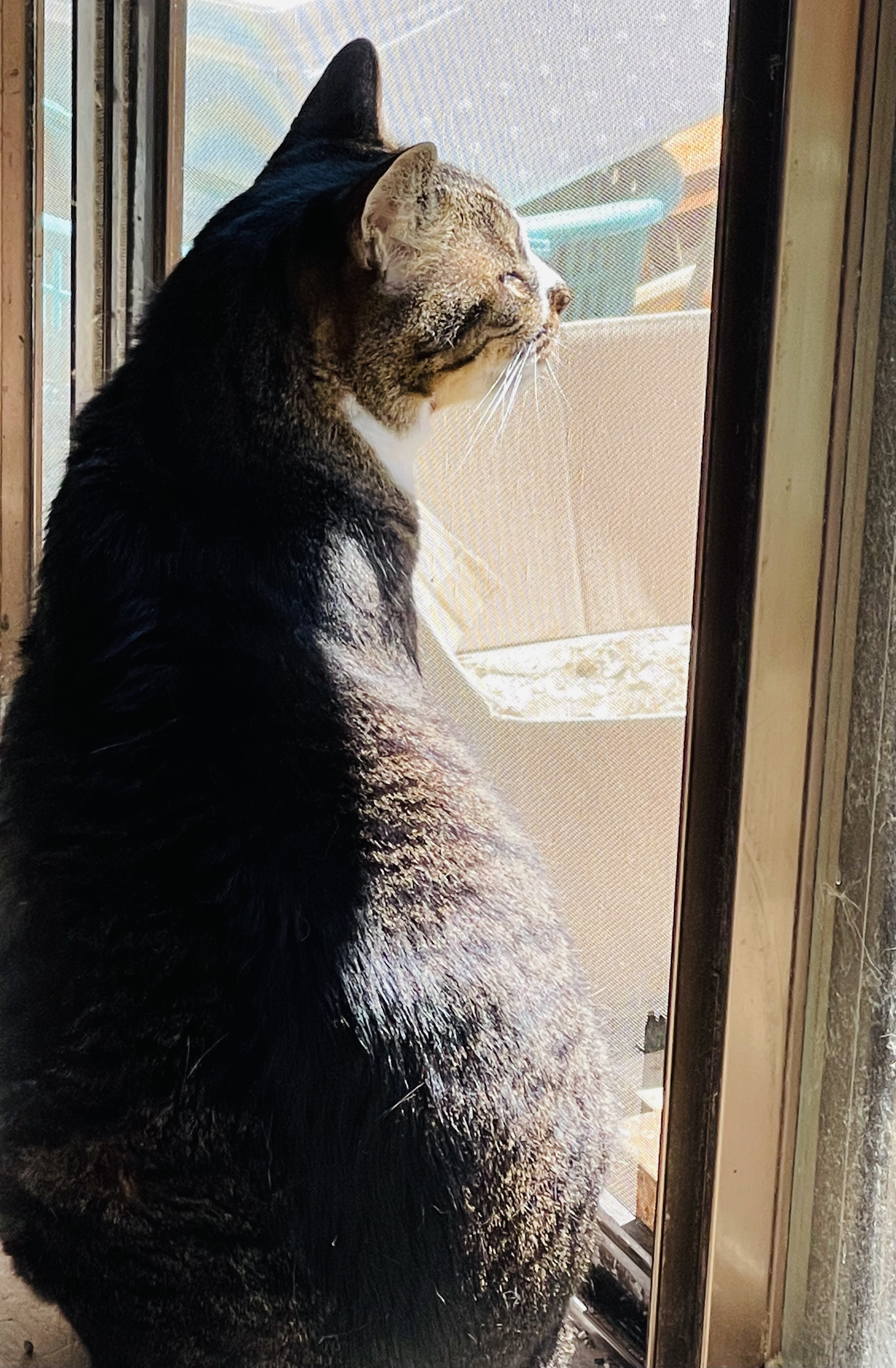 160B3850-D18A-4F8D-87F7-CE7A6A3EACC1