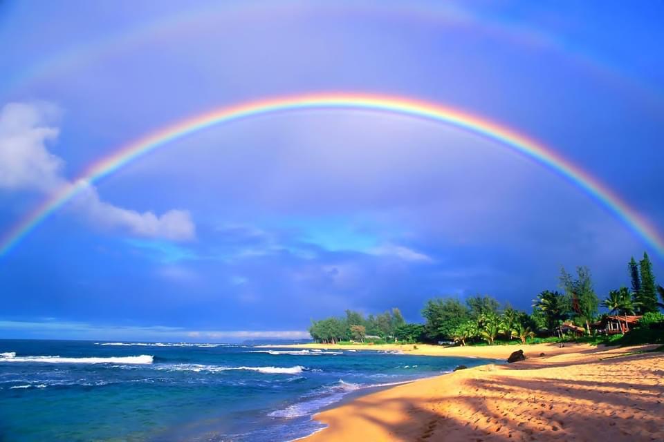 1DE72F3B-BDF8-4FA3-8359-E2DBA4F8875E