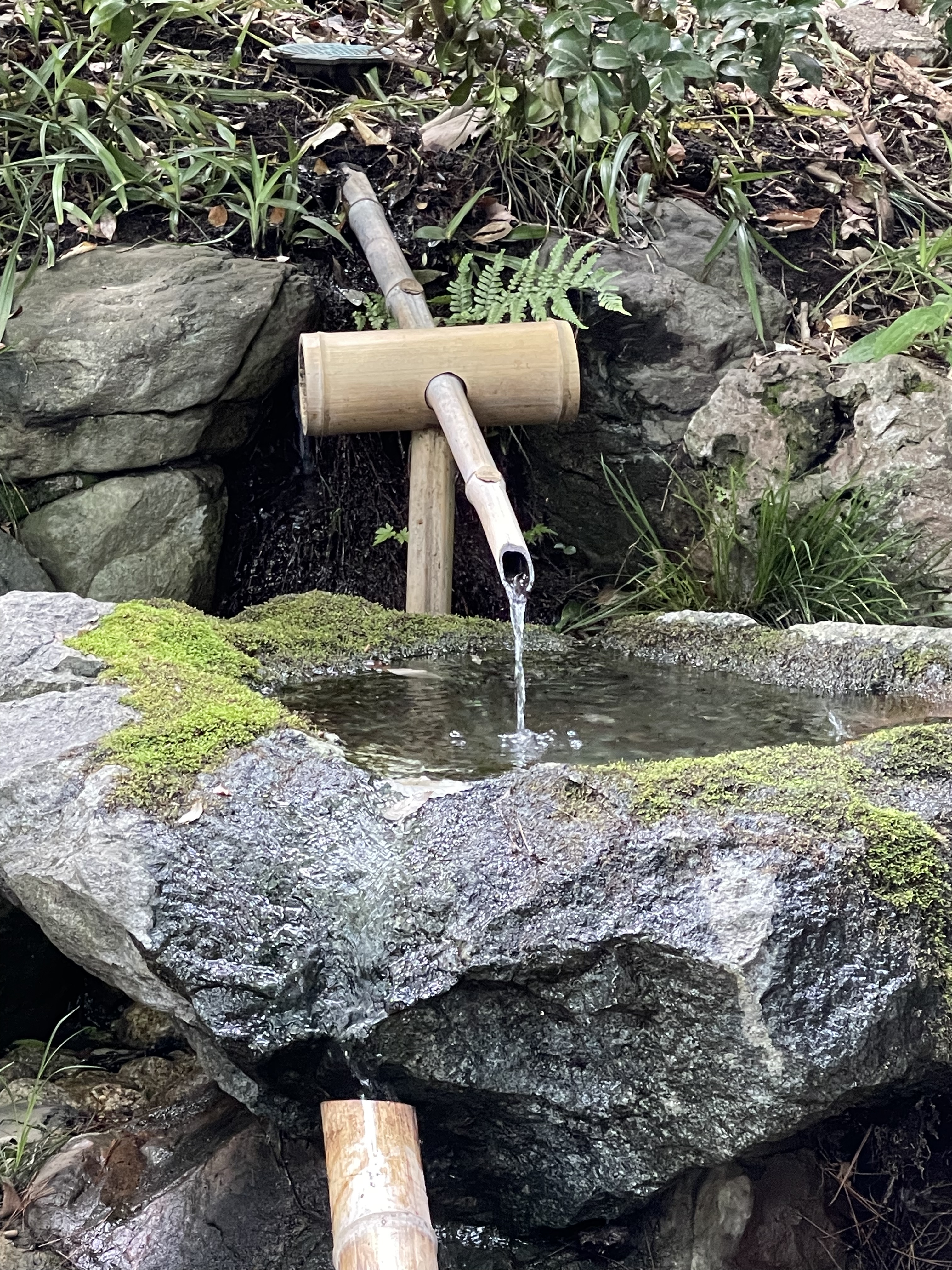 27A9A510-CBB2-48CE-AC8A-1D745E382E5E