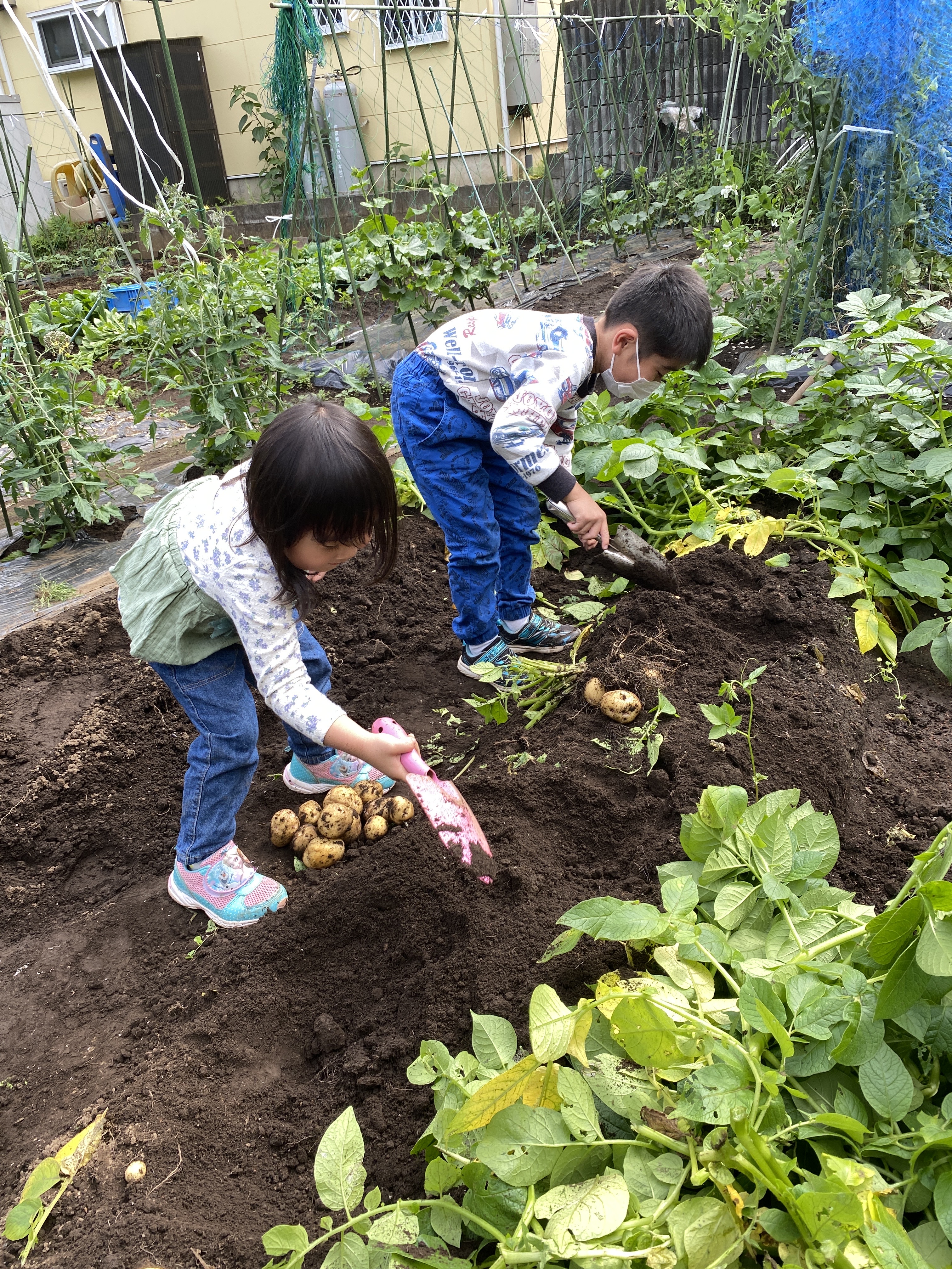 33D16AEE-1898-47AD-A811-F87892040191