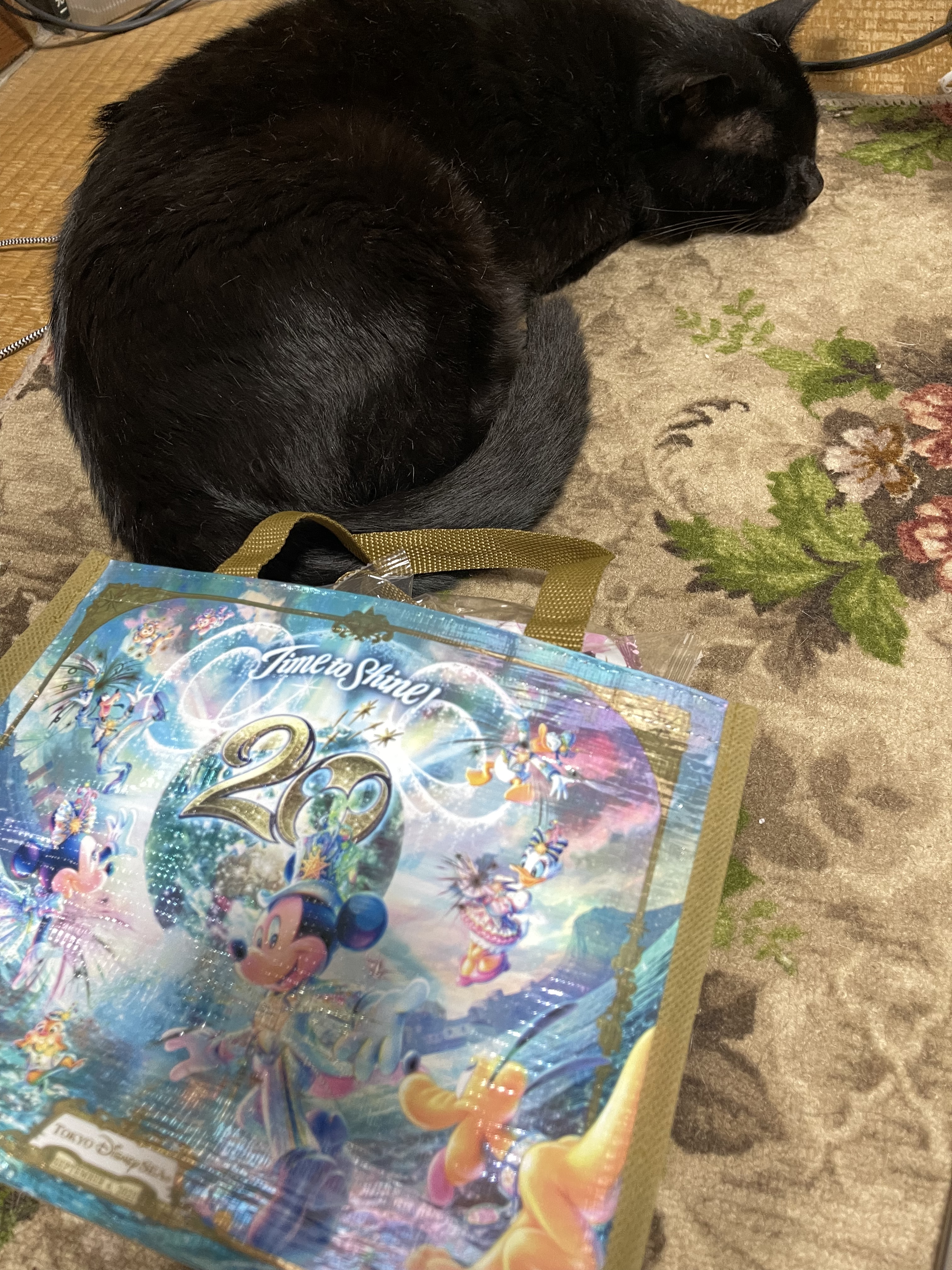 77BE633B-FCE1-4EF6-89C3-4D3FB3C367A5