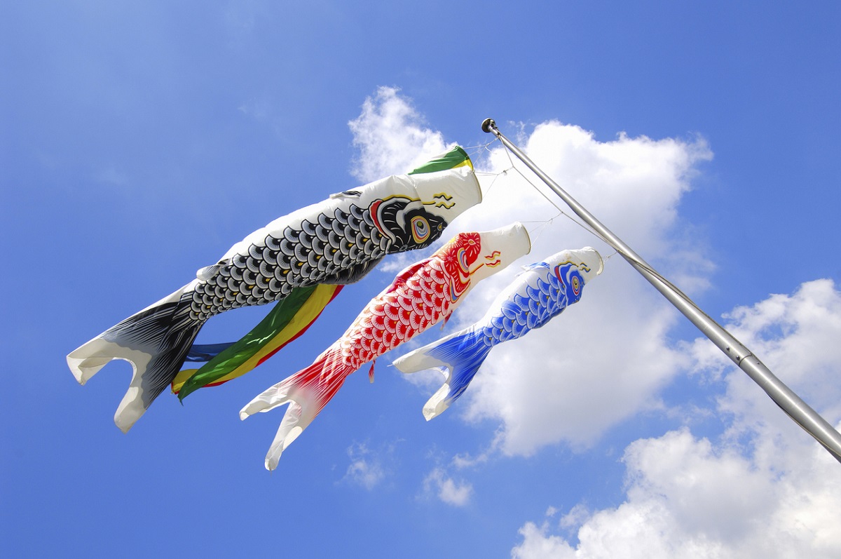 8BC4E788-FCAD-462B-8DC7-3F15ADFF8D0E