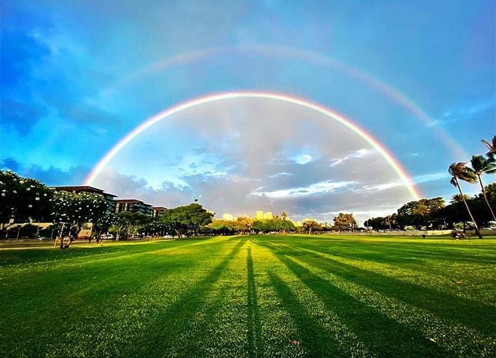 93E81F62-5874-49C6-888C-37CF303F6016