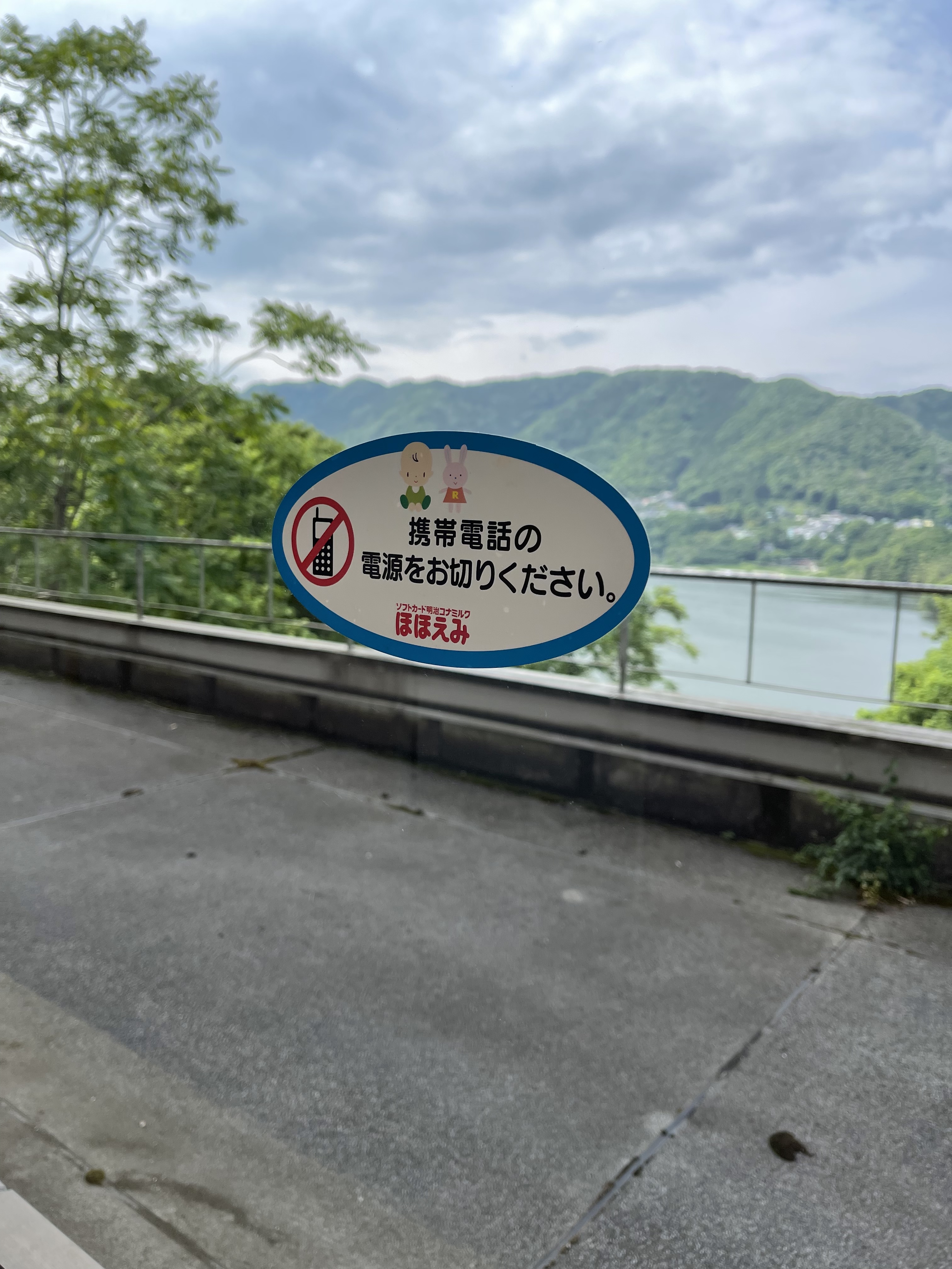 947219DB-F029-47C0-A3F9-0DBEE2CE66F3