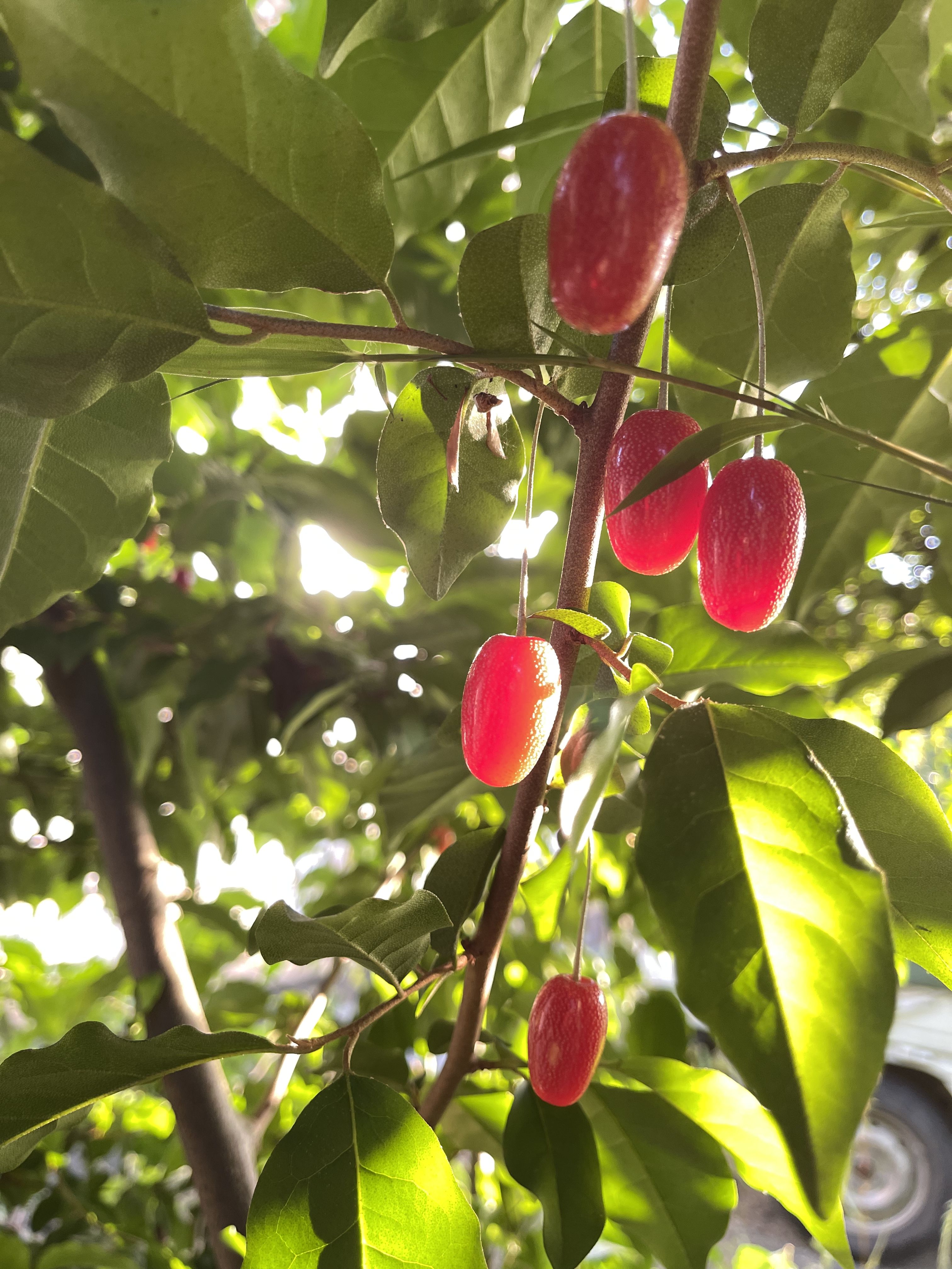 A0E24EE5-6E2B-4BED-94CA-4C1EA360247A