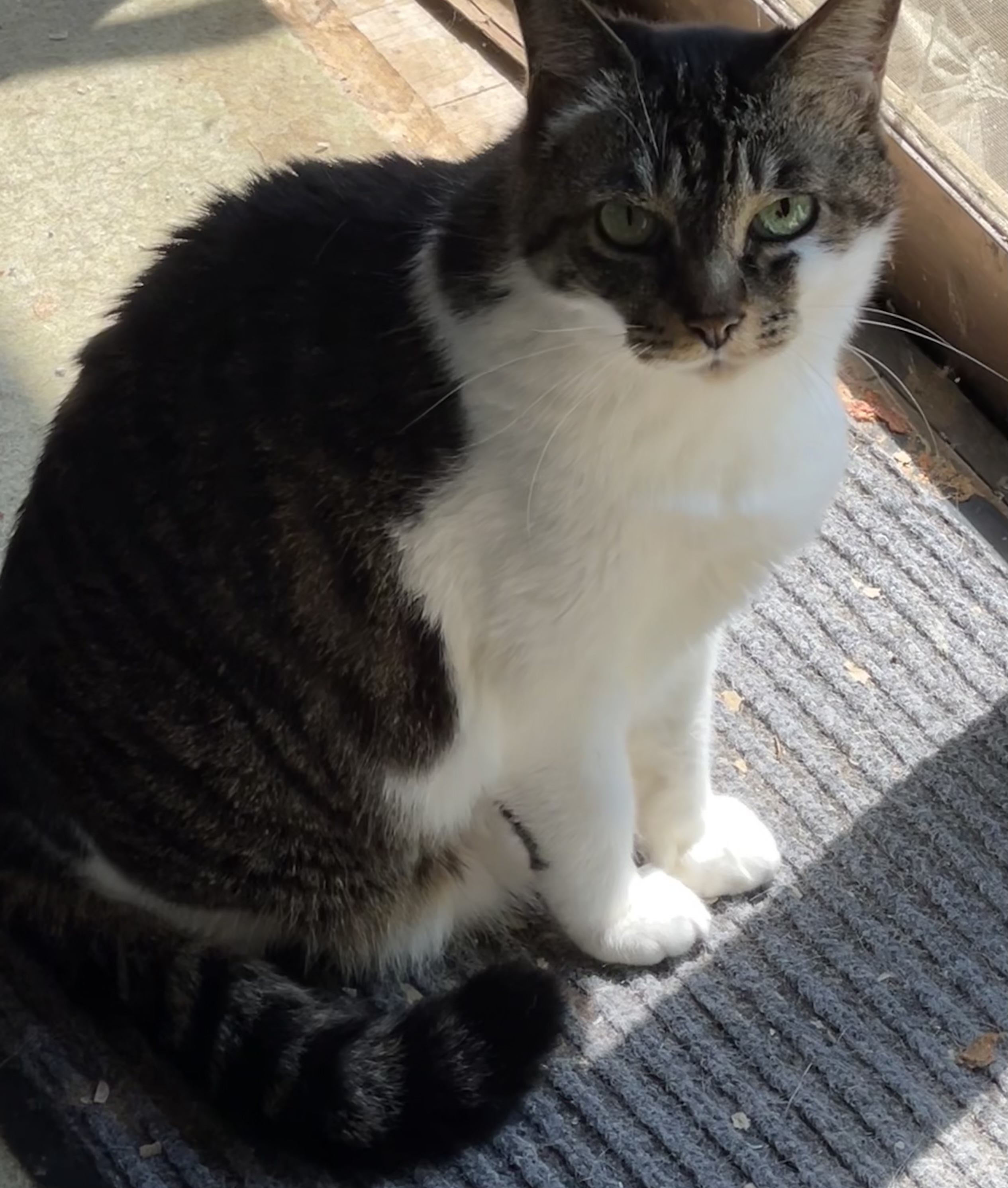 B355E695-C320-4704-B399-24F8B93C7517