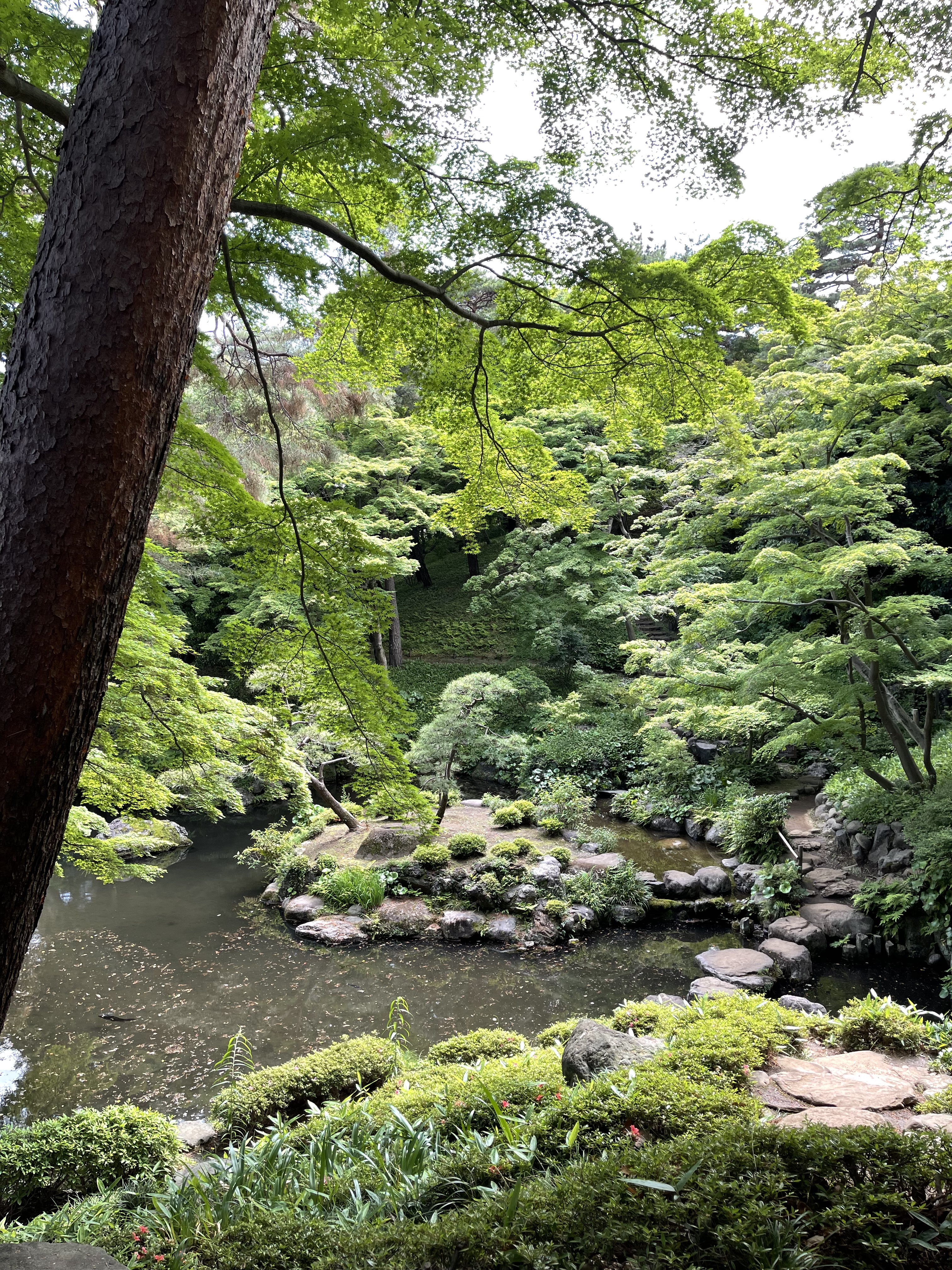 CB604749-71A0-4D2A-836B-2B63CD4A8625