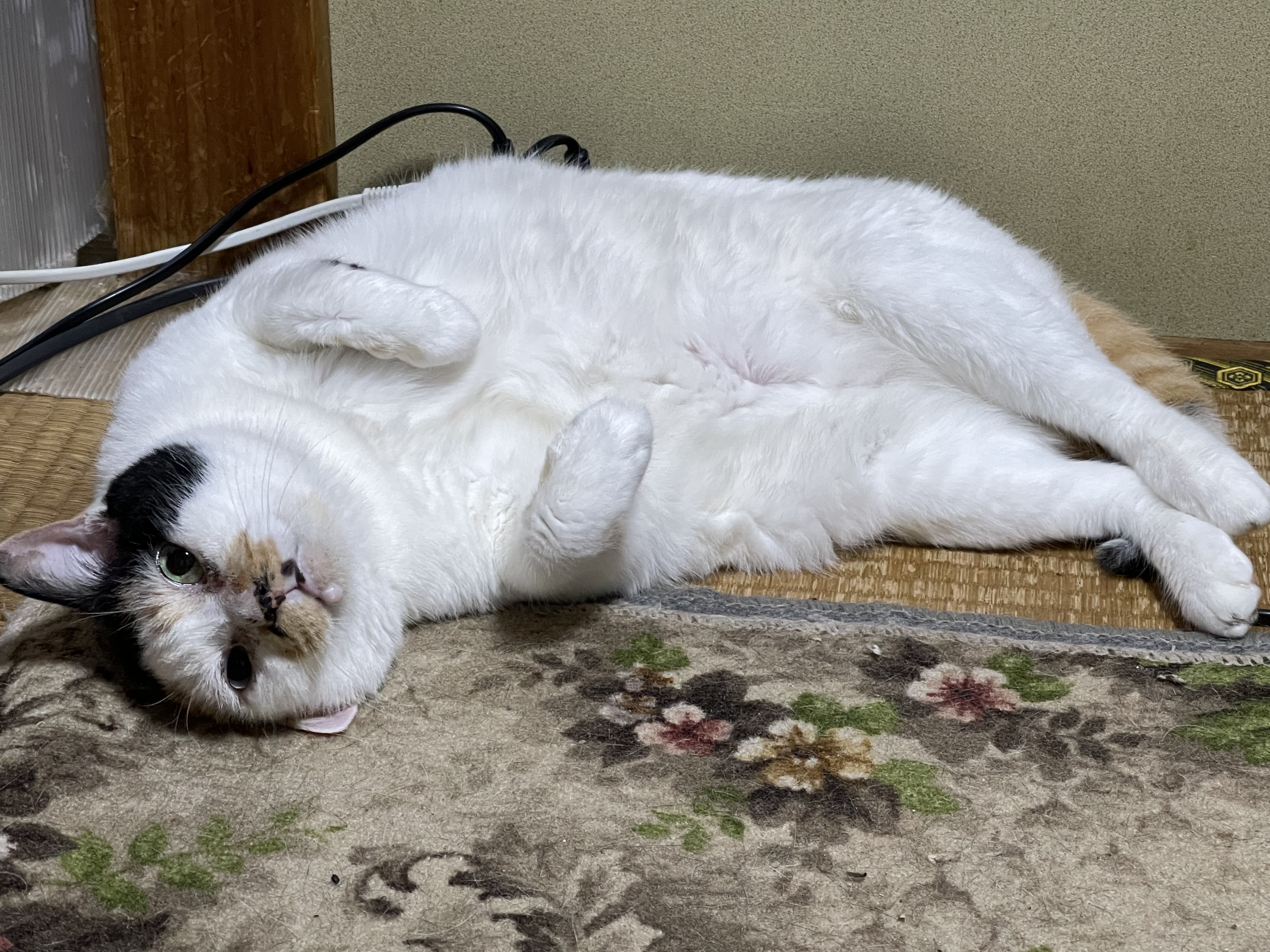 0E92A03D-7E23-40D7-9C8C-D86AAF410277