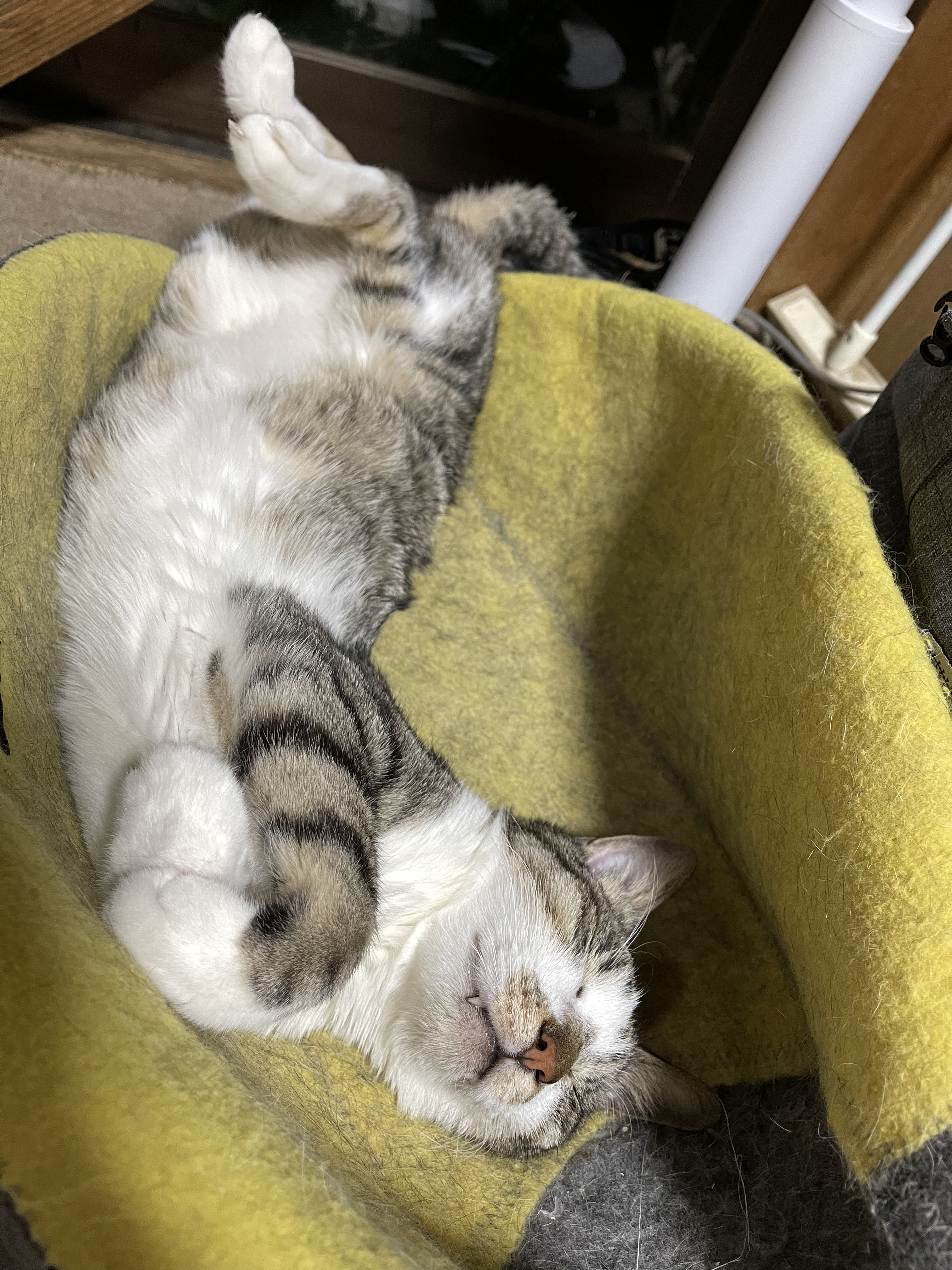 10865591-C835-4810-81B1-B44C2B57D4BF