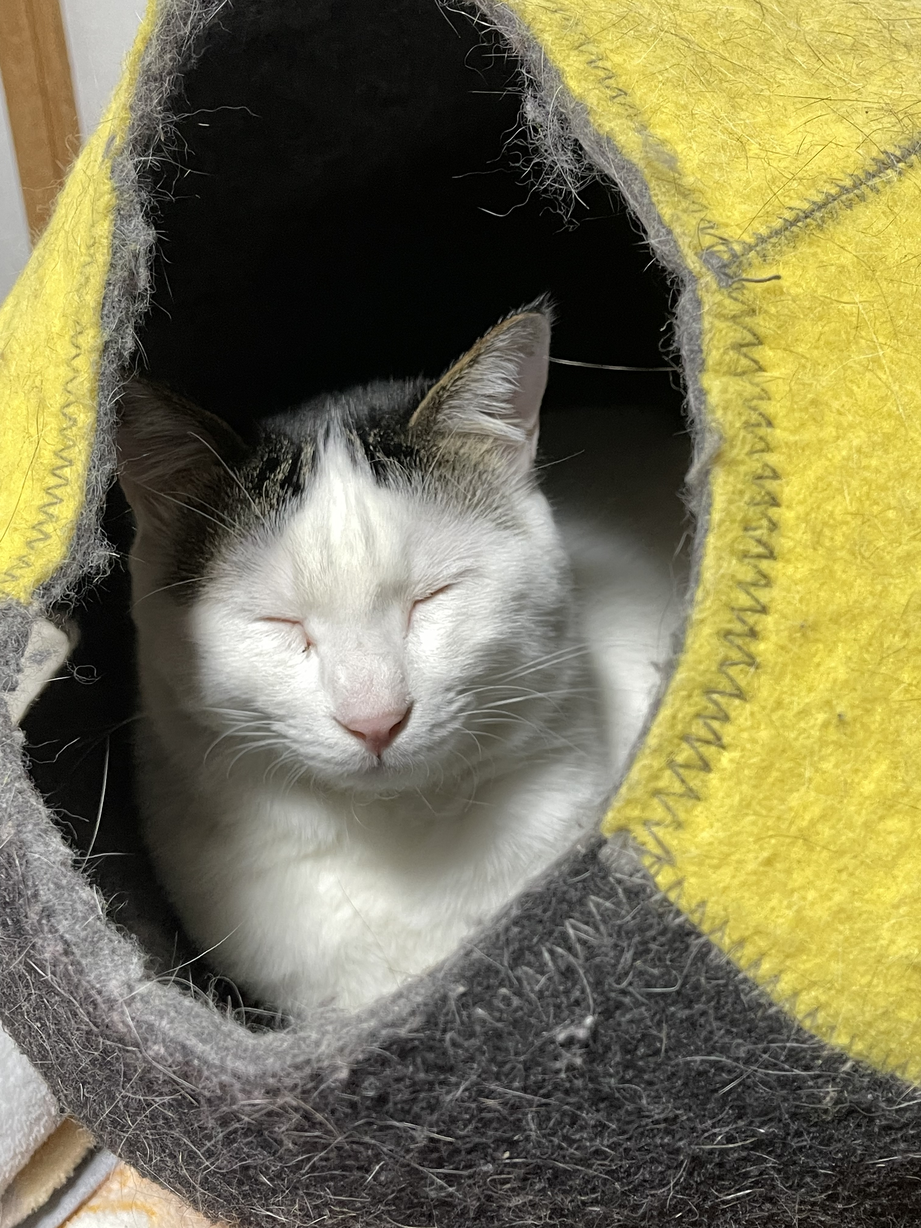 1282FDF1-2A7A-4D66-B115-4FC023AEAD1C