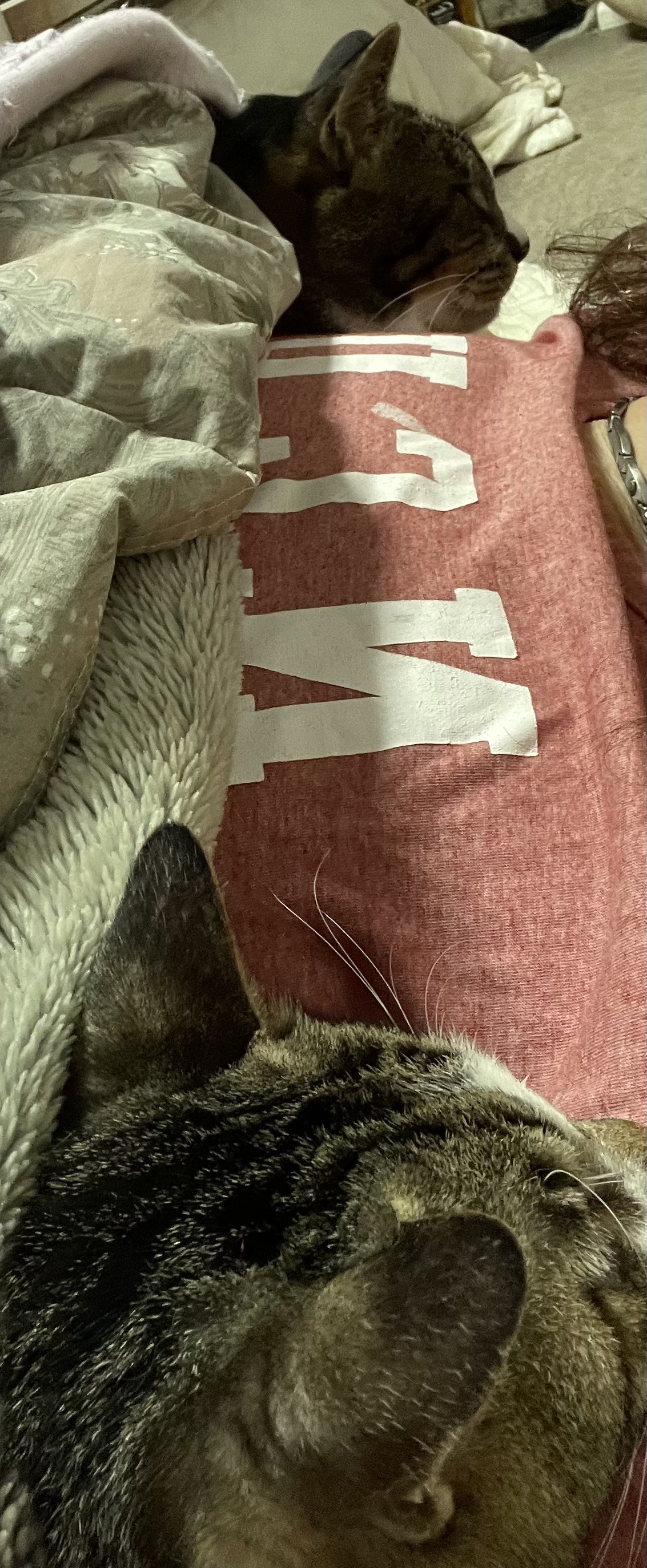 23118D82-8E2C-4CA8-9085-53F2DD2F0D75