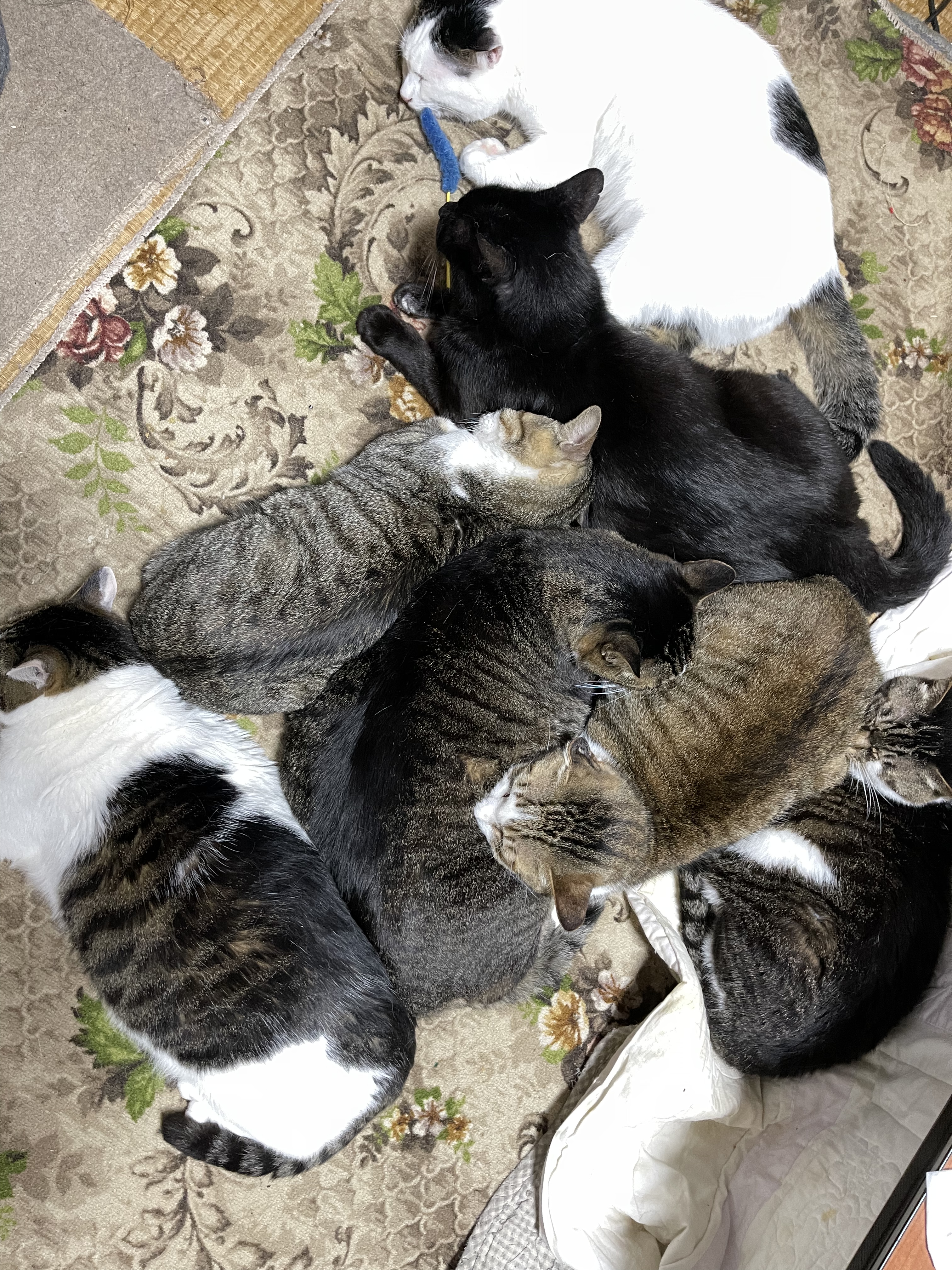 2D957018-8B4B-4222-8F48-19795B459E00