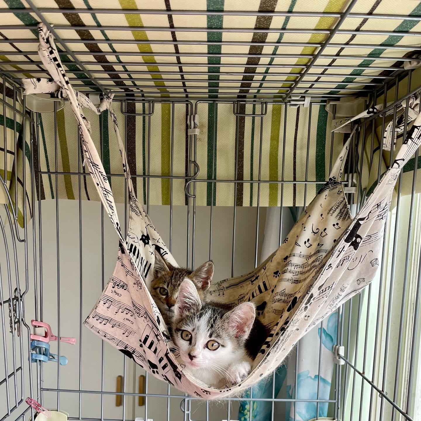 337D1170-DC5F-4D94-A7E7-1B2C39E3742E