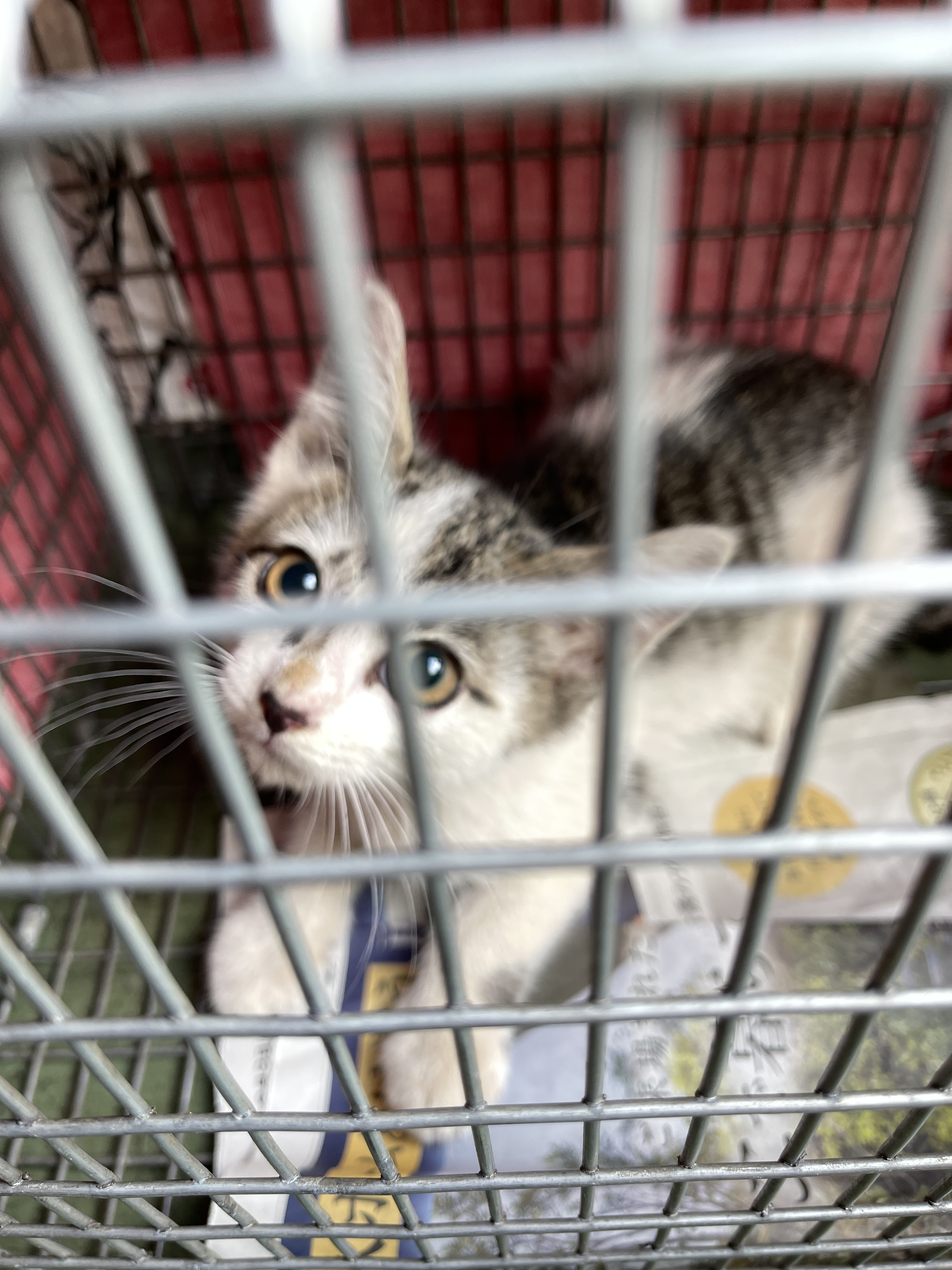 395BD027-3444-4DCB-BA4C-7E1FD55626E5