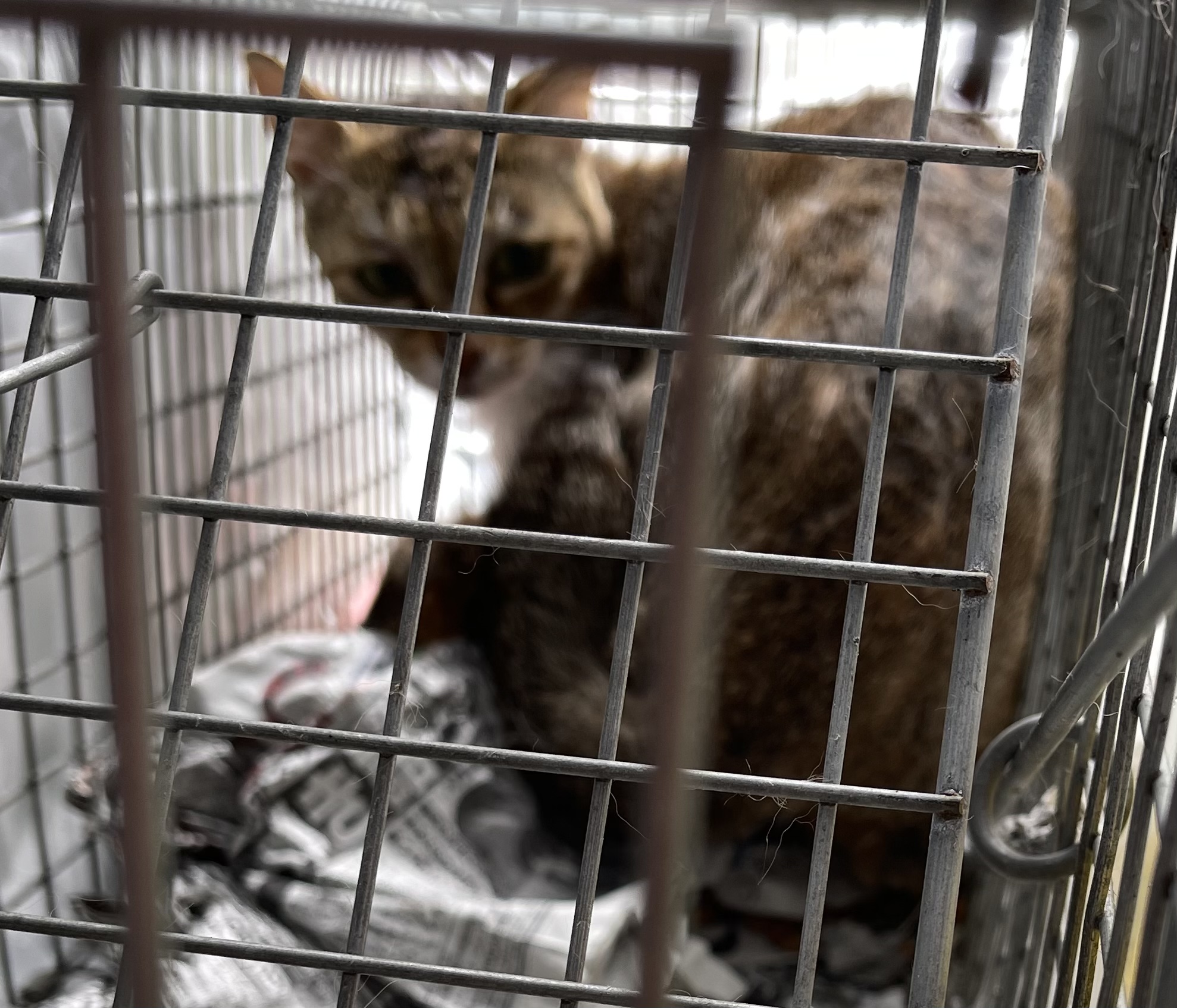 5268356C-1260-4387-B80B-452468E6D377