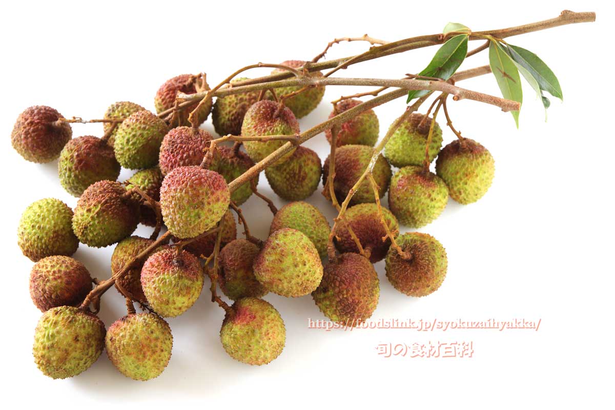 527541BF-301E-418B-AA0D-13CD1EAF31A7