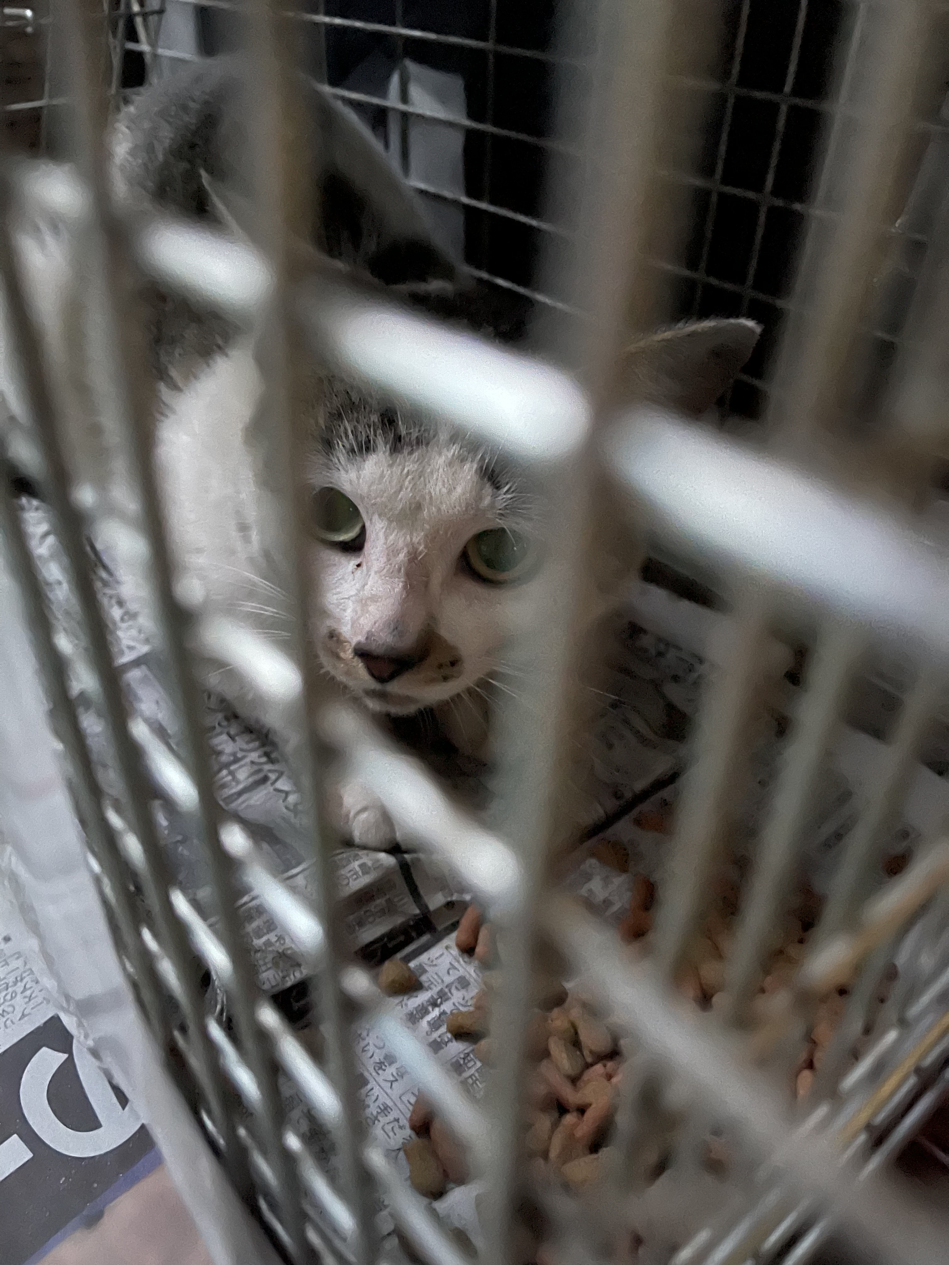 5AA55218-B498-45CF-ABA9-ABE968A31D12