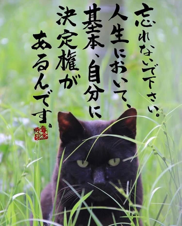 65F7E7D4-9775-497D-93B2-086A3375024A