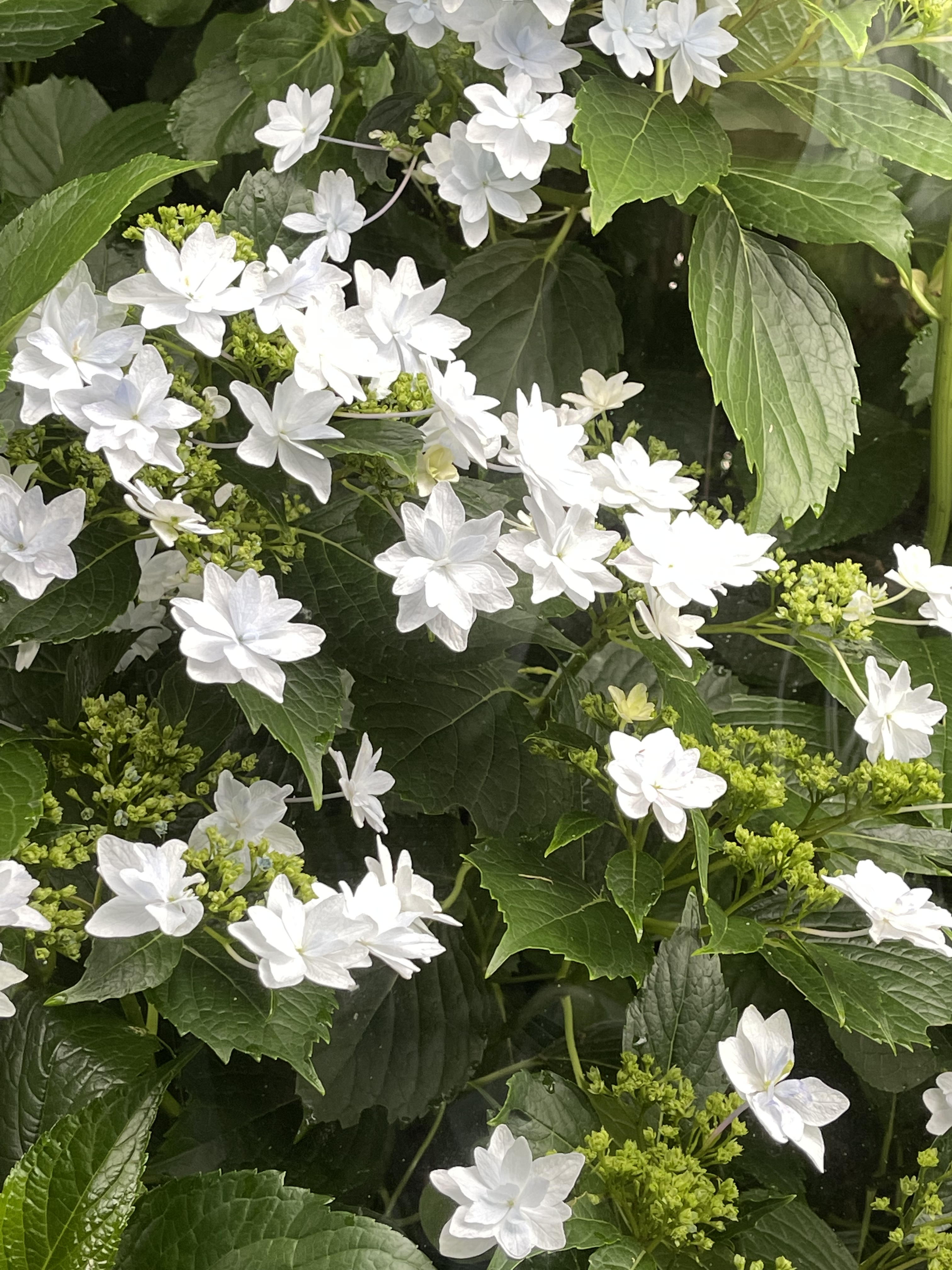 69318239-1627-4CFE-8A9D-F0A72B3E5DAC