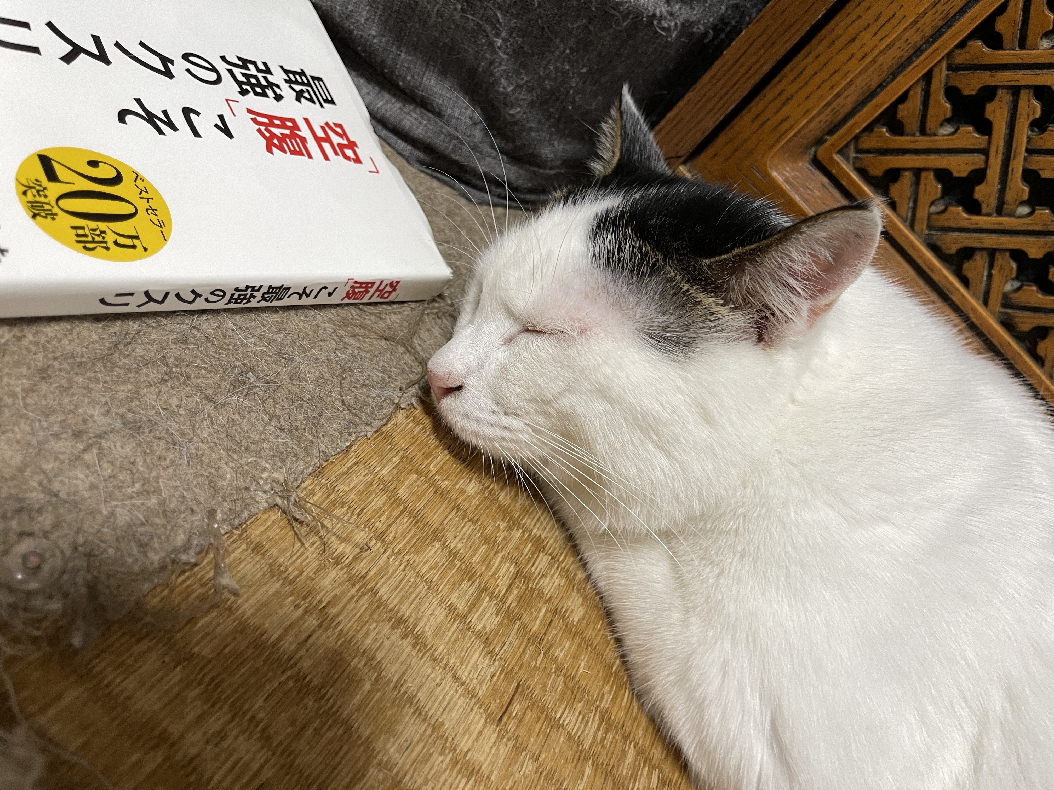 6A8792F7-C8EF-41A0-9403-BF9A37ECA4AE