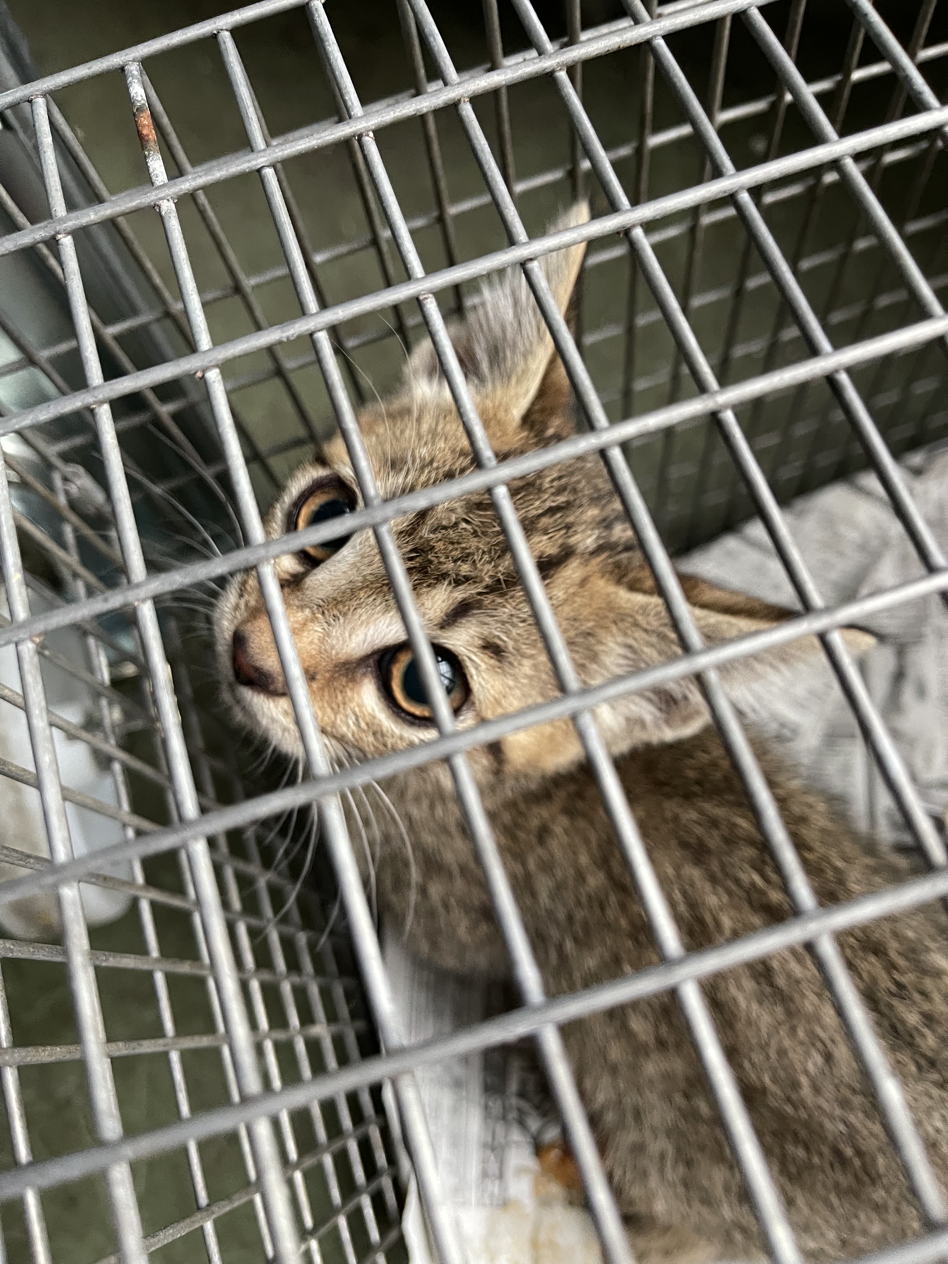 724A6D09-3C62-40E3-9945-3F8D9CDE4DC6