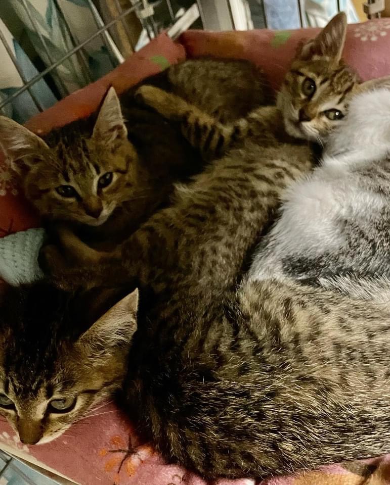 73EC2BDA-CA1C-433C-9FCA-E0898A9C2145