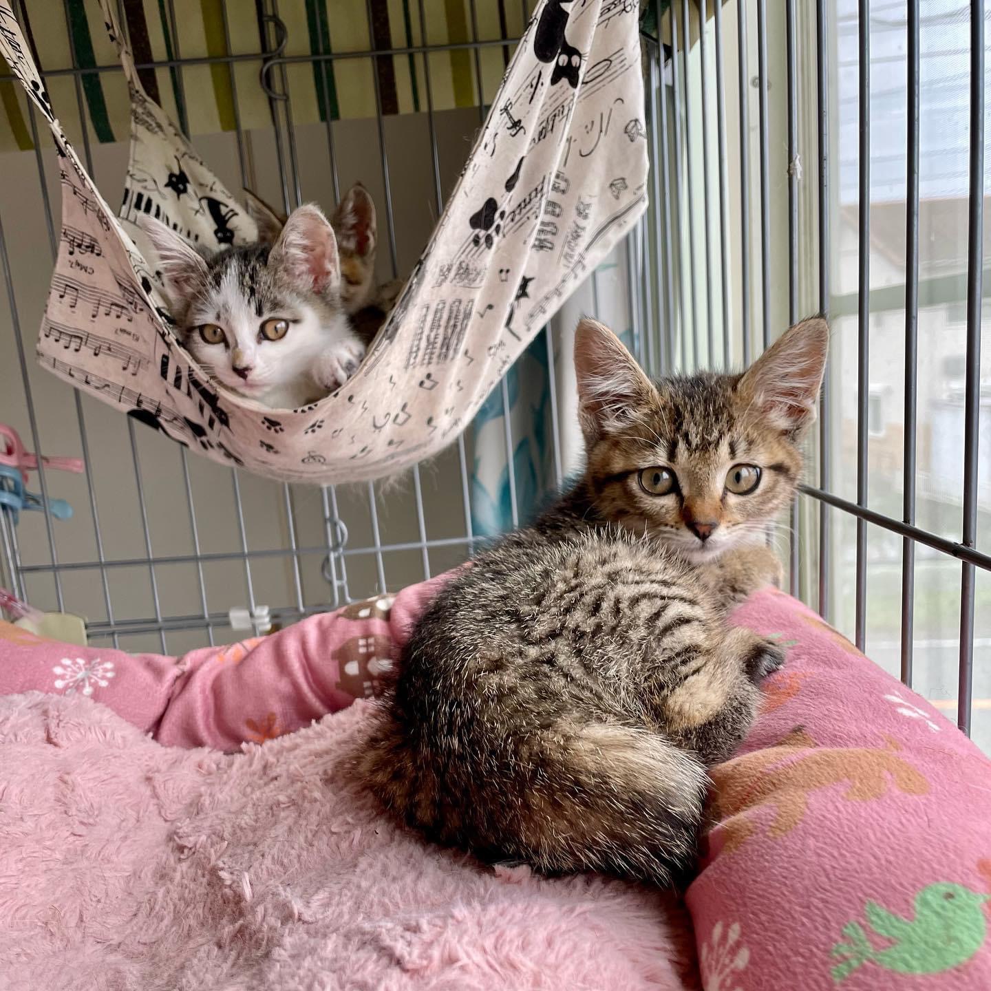 7507B0E1-08B6-437B-B275-F63A91BEF02E