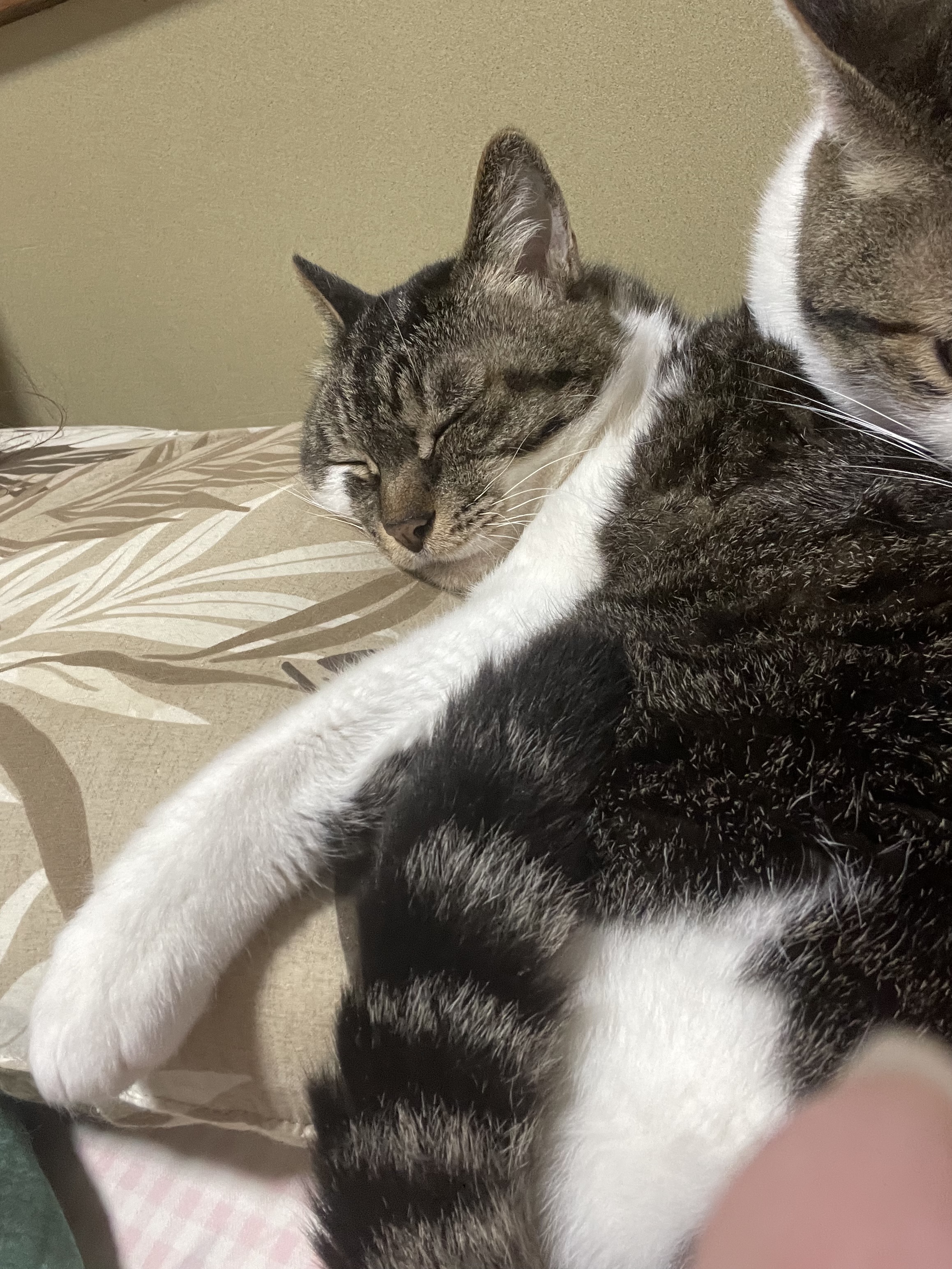 753CCCCF-F960-4D99-AA03-74B1AB55A2C2